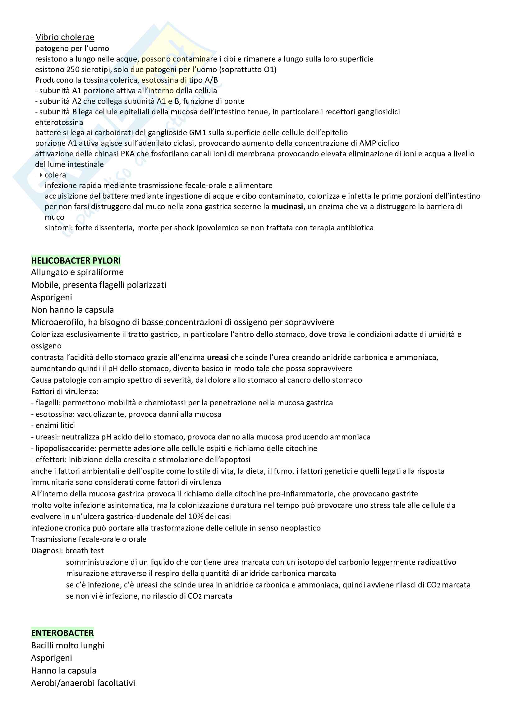 Riassunto batteriologia Pag. 6