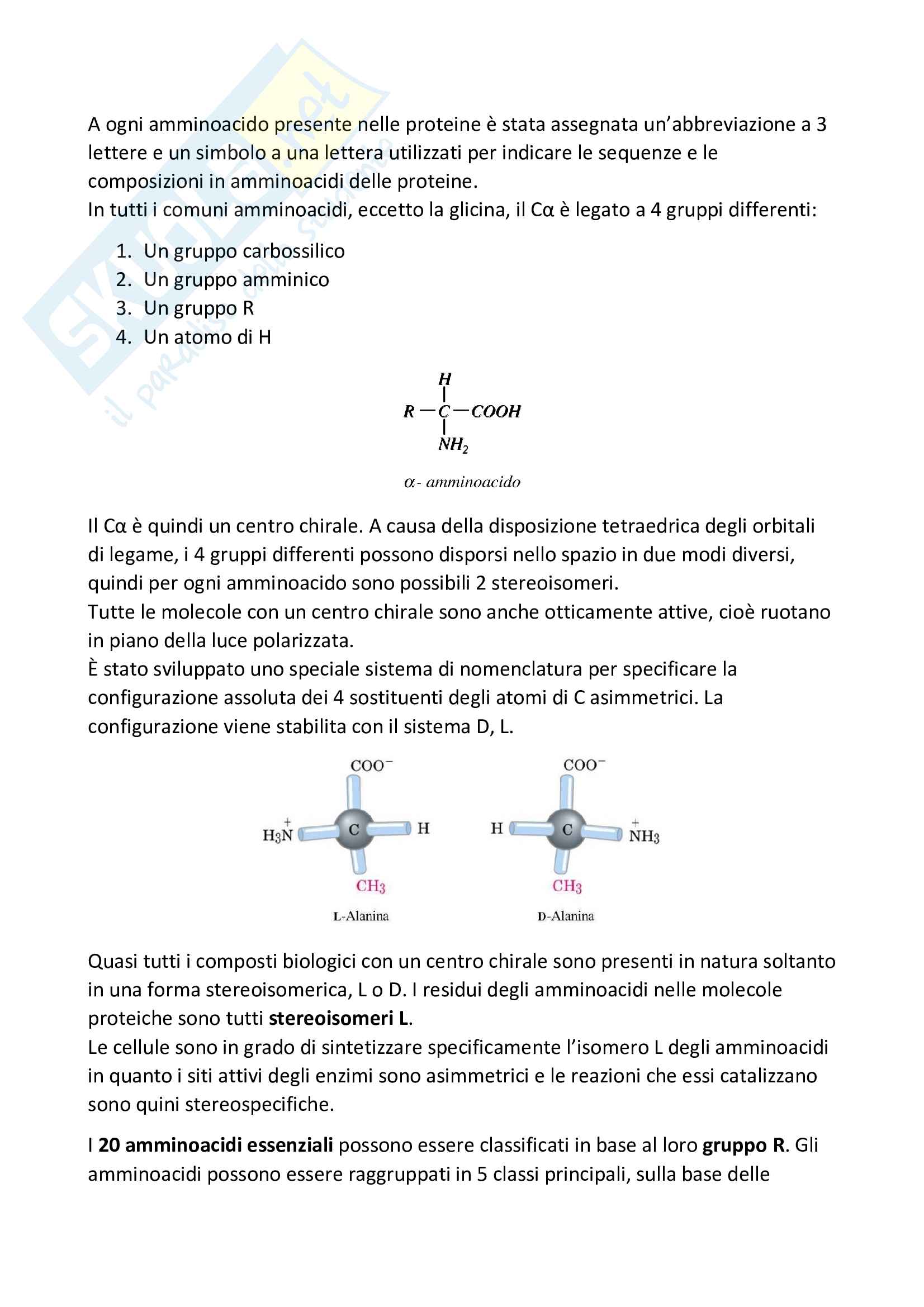 Amminoacidi e proteine - Schemi riassuntivi di Biochimica Pag. 2