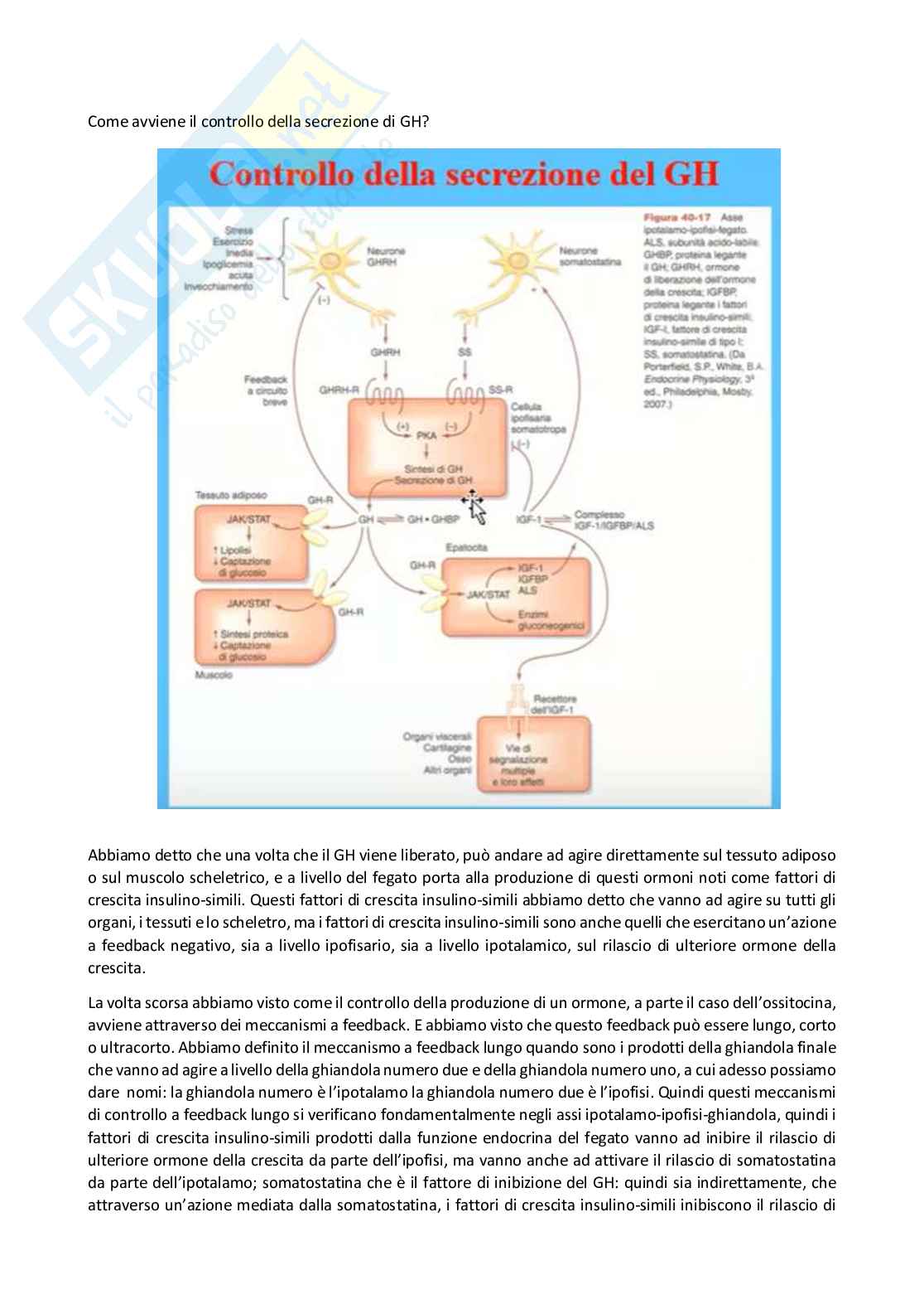 Fisiologia generale - Parte  5 Pag. 11