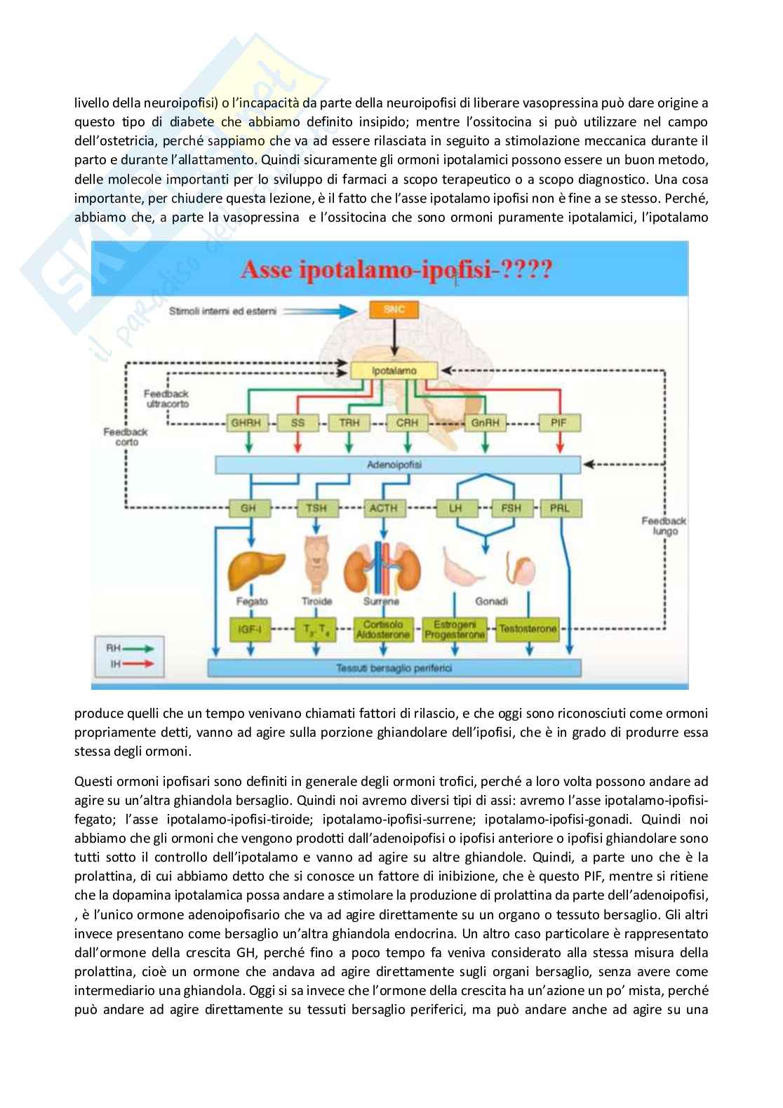 Fisiologia generale - Parte  5 Pag. 2