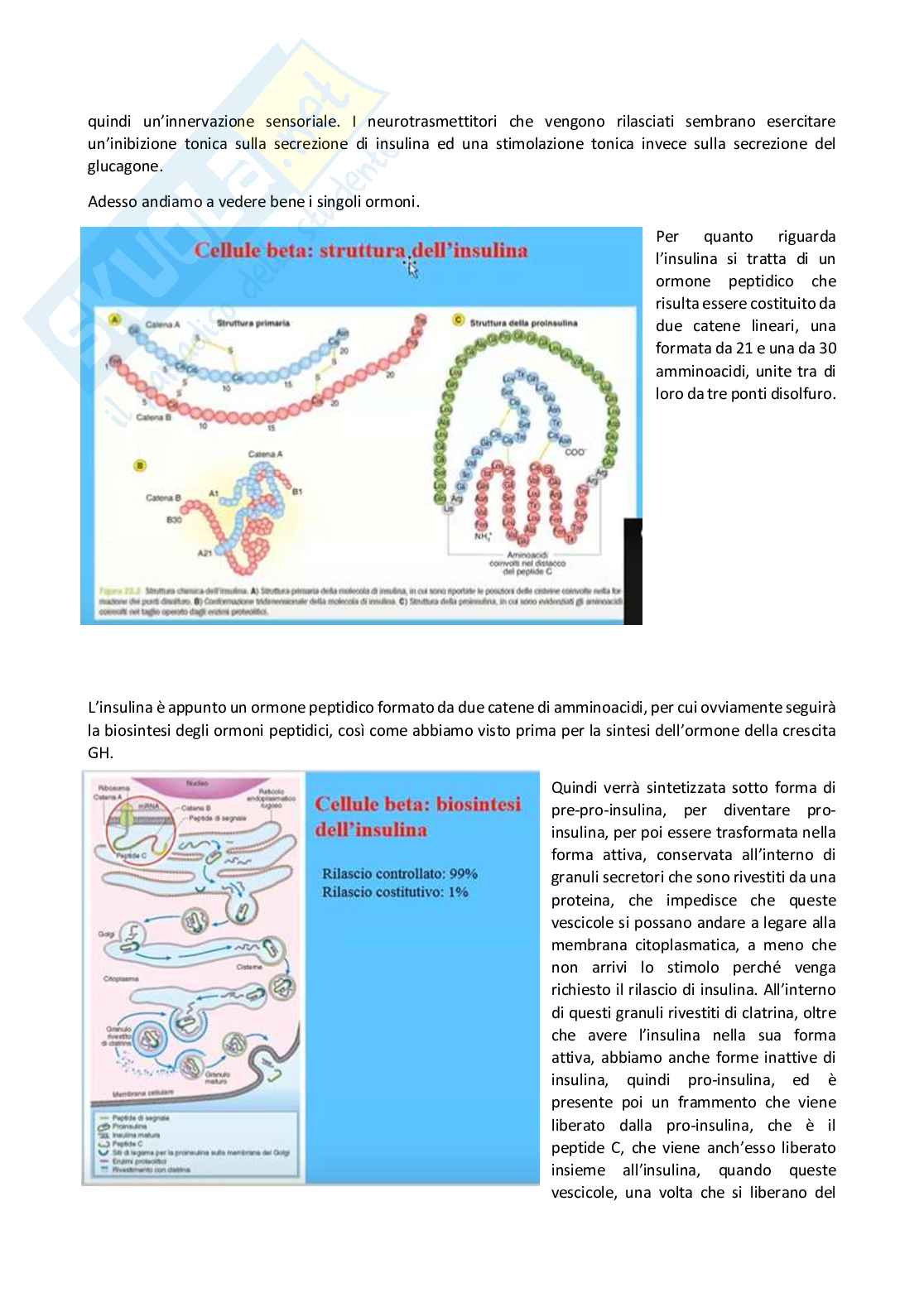 Fisiologia generale - Parte  5 Pag. 21