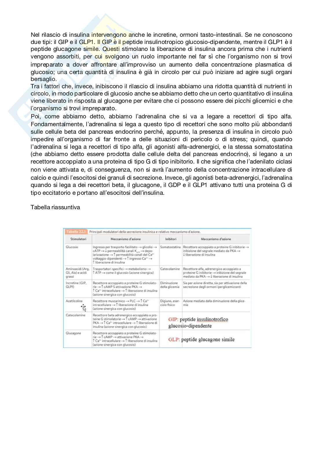 Fisiologia generale - Parte  5 Pag. 26