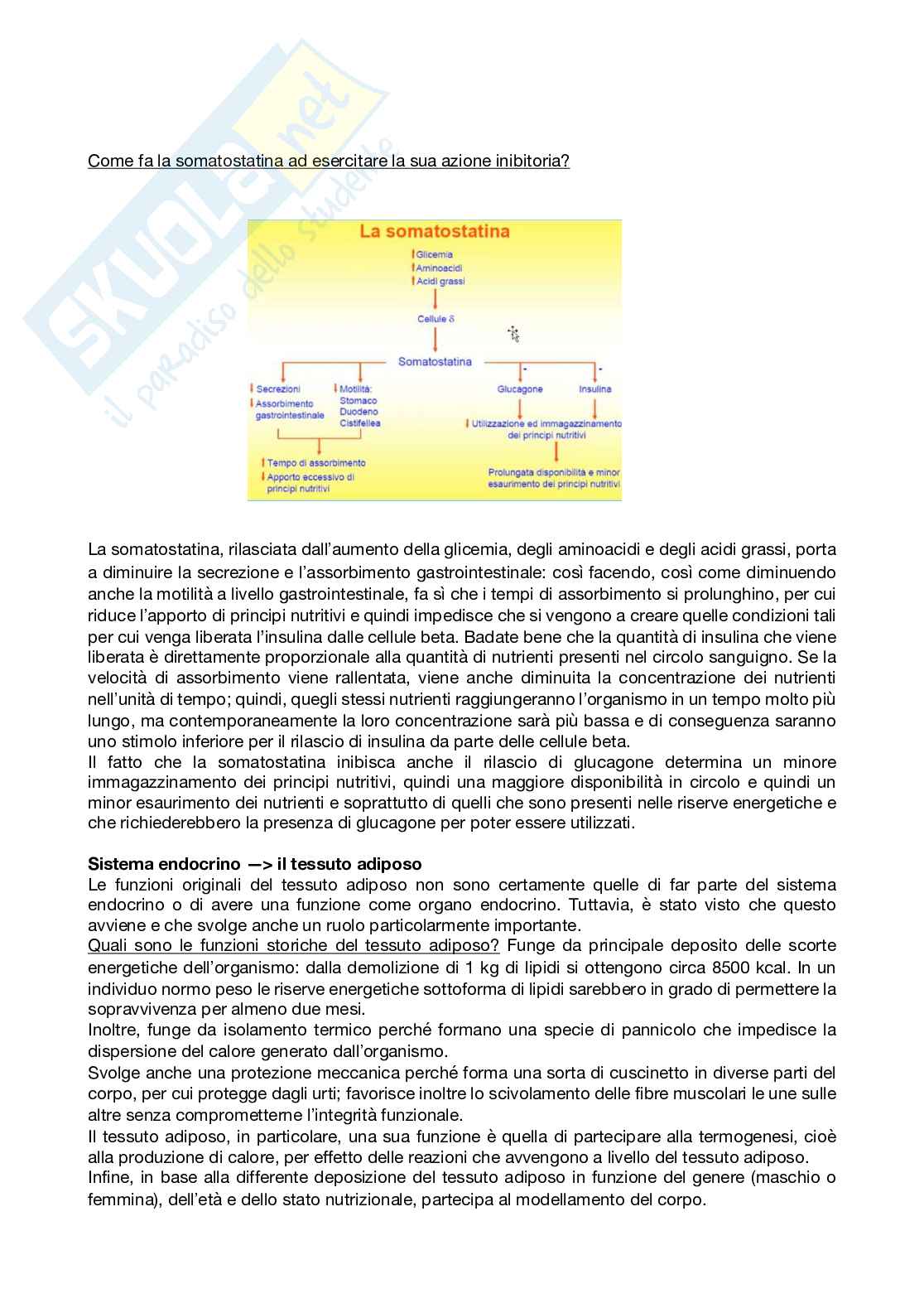 Fisiologia generale - Parte  5 Pag. 41