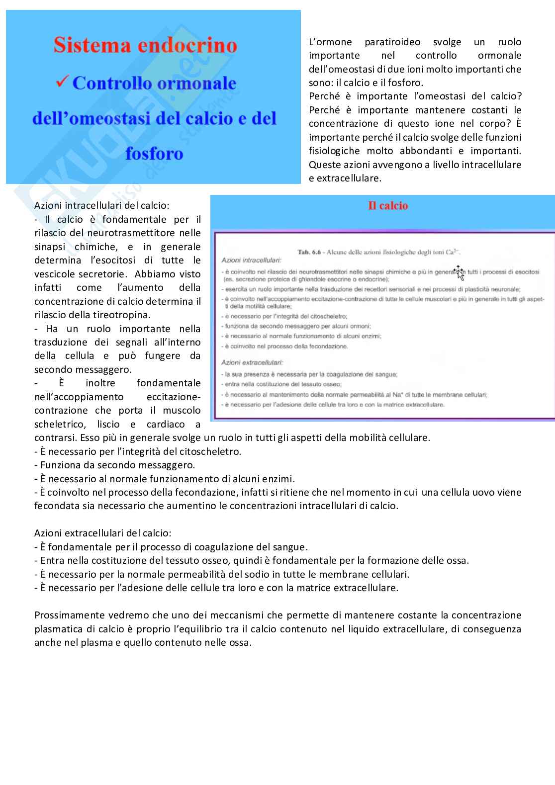 Fisiologia generale - Parte  5 Pag. 56