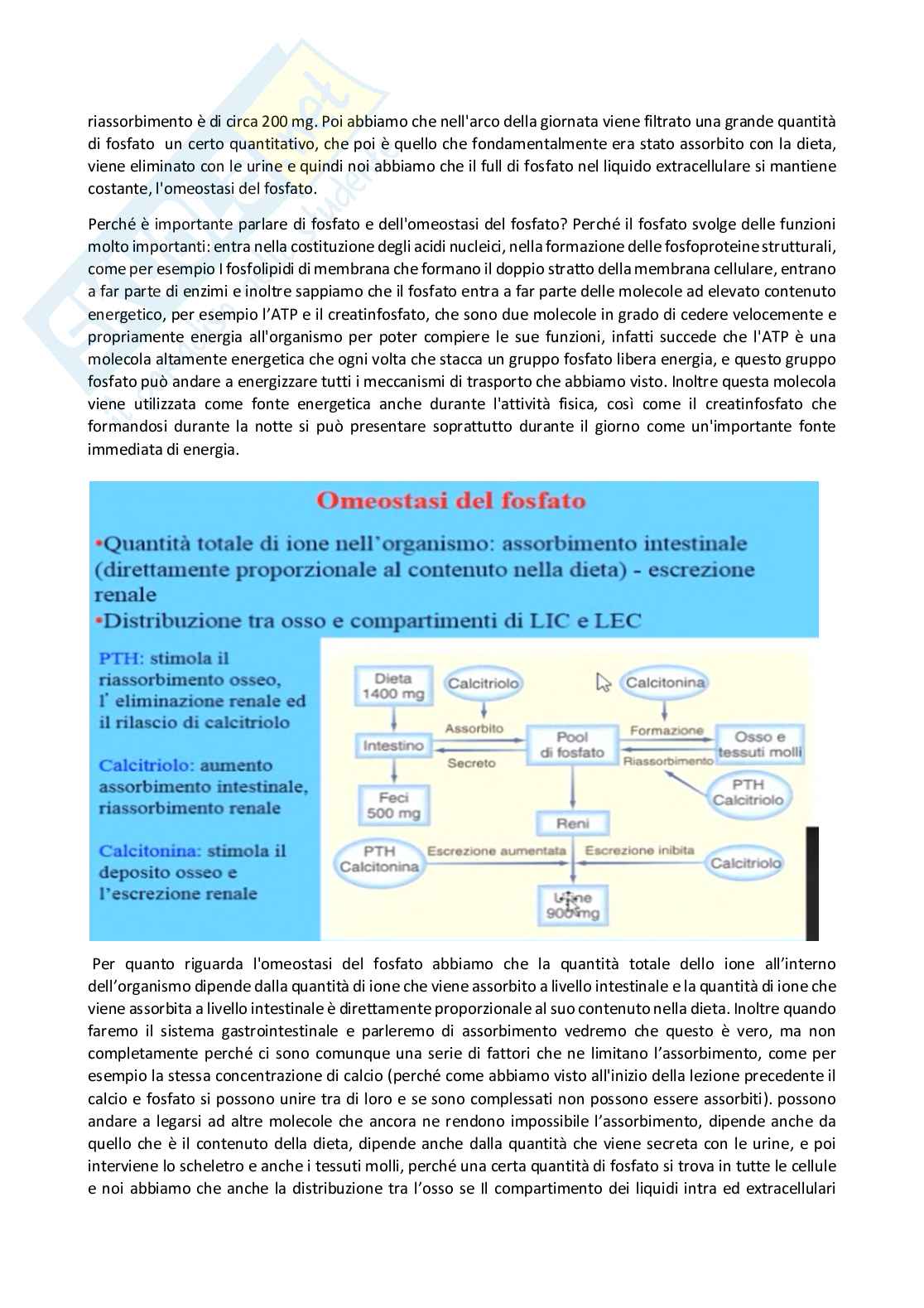 Fisiologia generale - Parte  5 Pag. 66