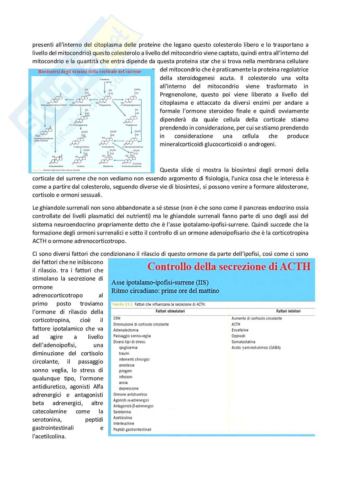 Fisiologia generale - Parte  5 Pag. 71
