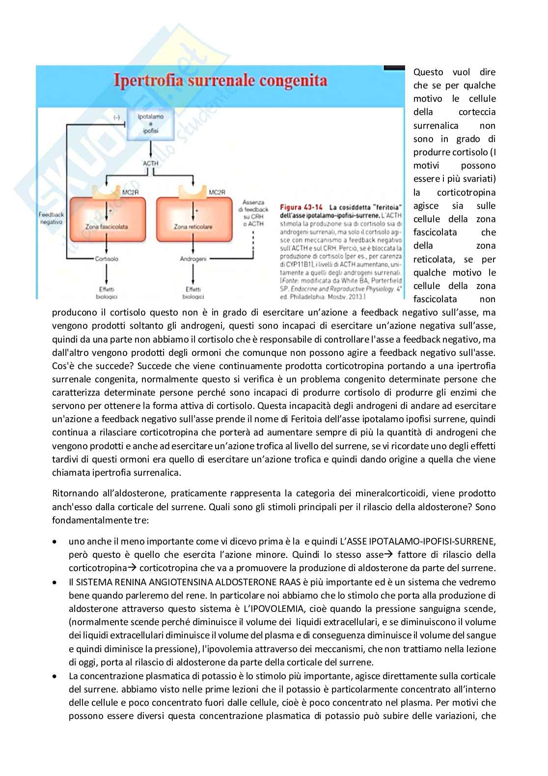 Fisiologia generale - Parte  5 Pag. 76