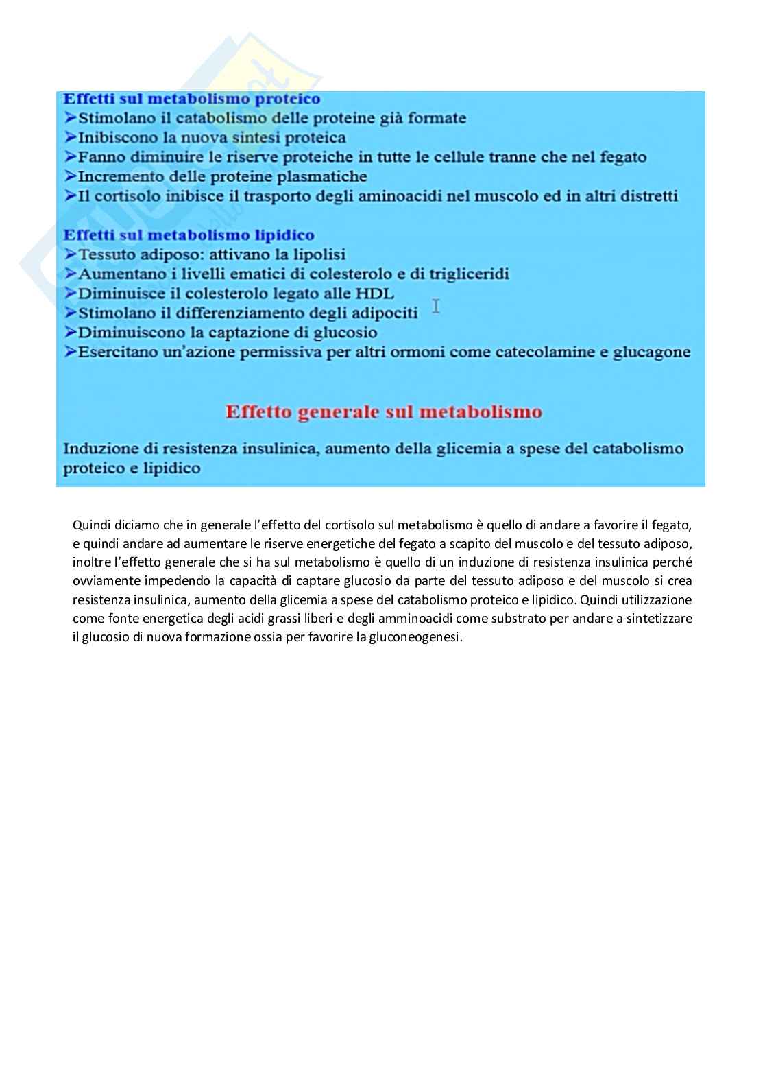 Fisiologia generale - Parte  5 Pag. 81