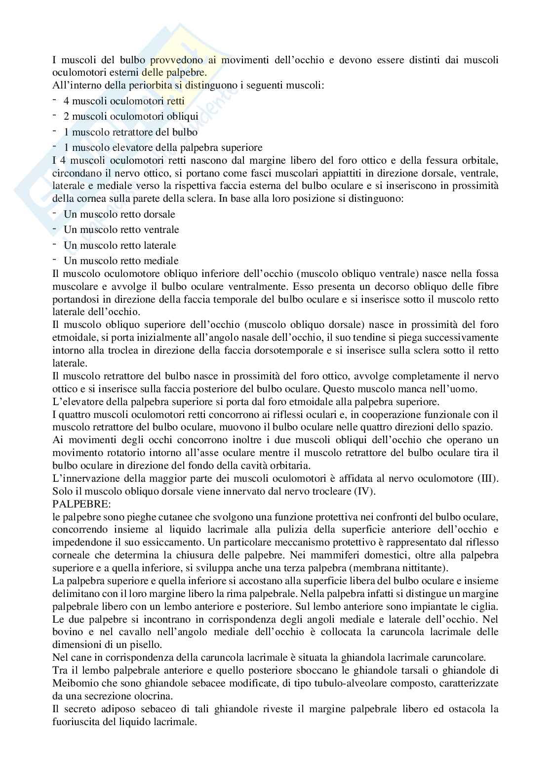Riassunto esame Anatomia generale, Prof. Tagliavia Claudio, libro consigliato Anatomia degli animali domestici, Konigh, Liebich  Pag. 76