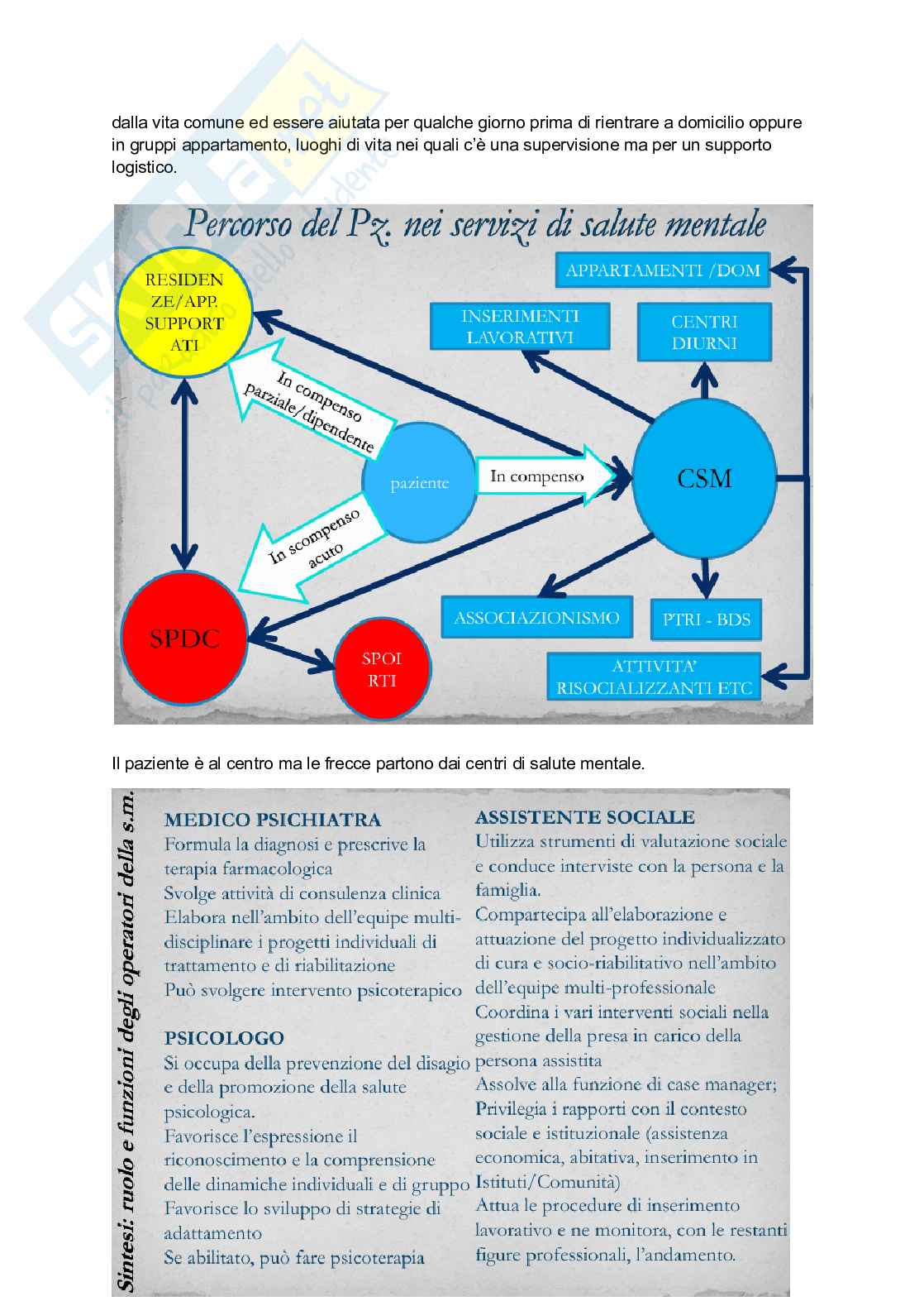 Infermieristica della salute mentale - Infermieristica Pag. 11