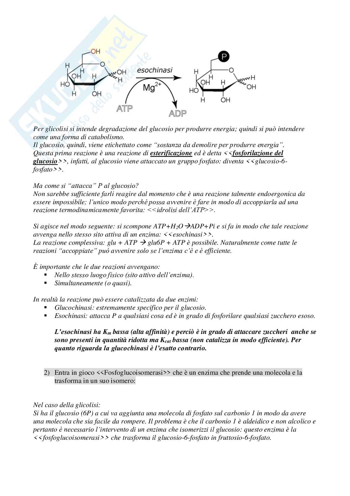 Biochimica Pag. 26
