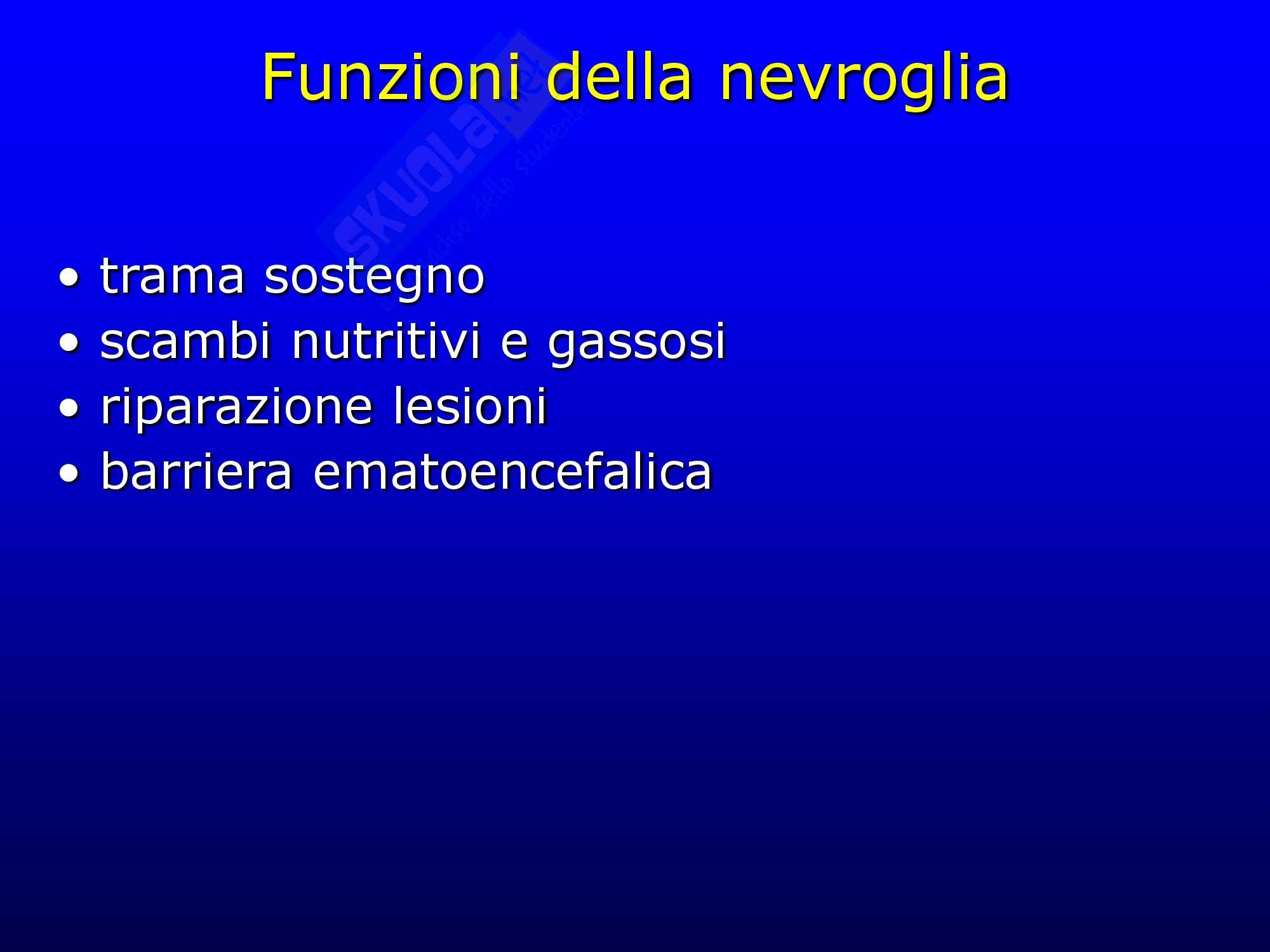 Tessuto nervoso Pag. 26