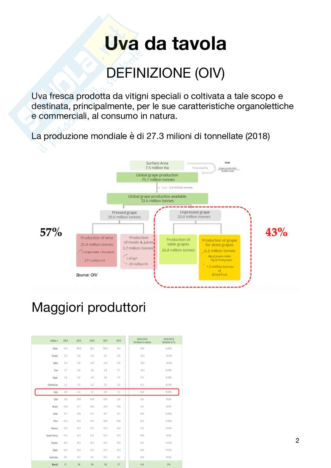 Tecnologia dei derivati della filiera vitivinicola  Pag. 2