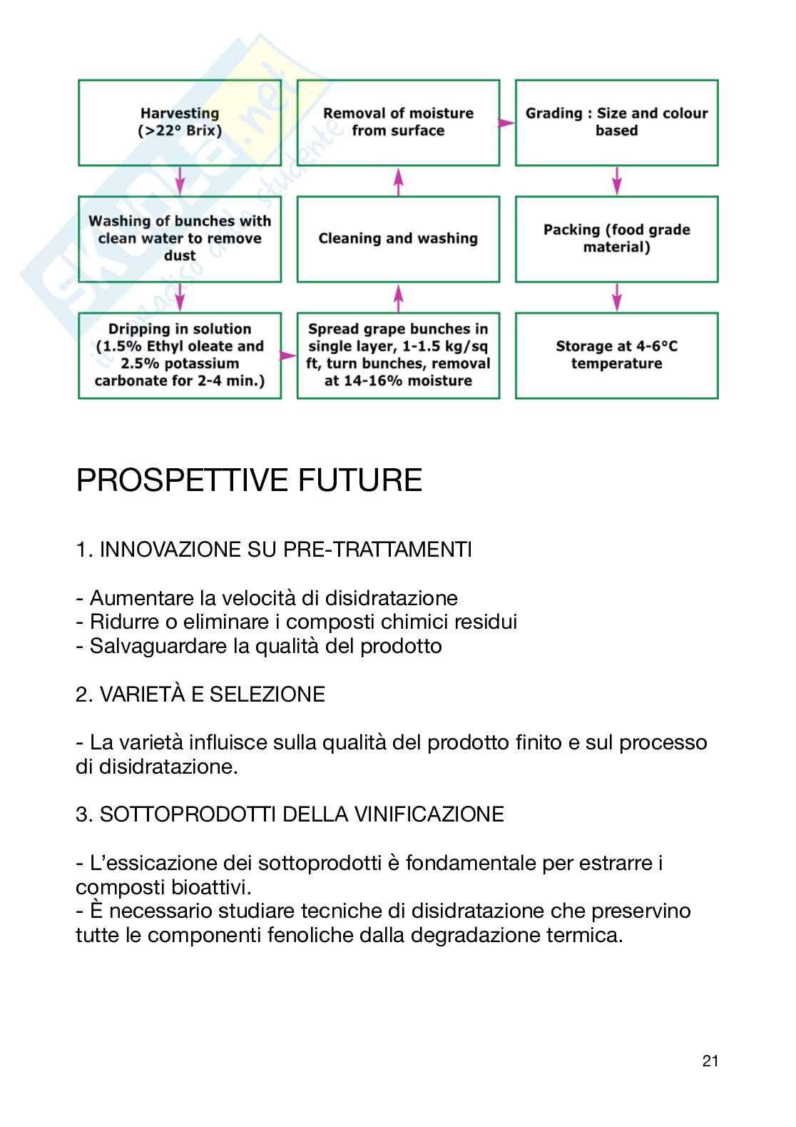 Tecnologia dei derivati della filiera vitivinicola  Pag. 21