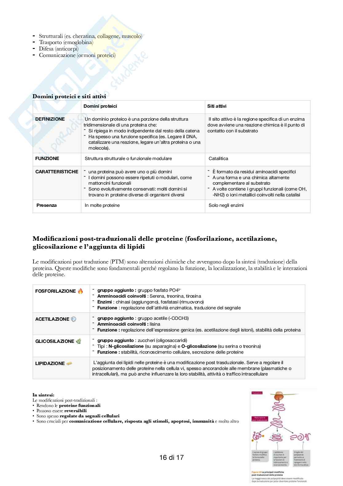 Semestre filtro: Biologia  Pag. 16