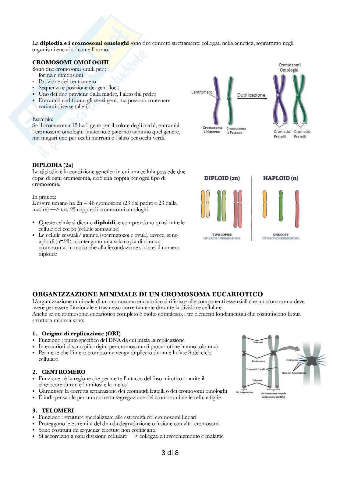 Semestre filtro: Biologia  Pag. 21