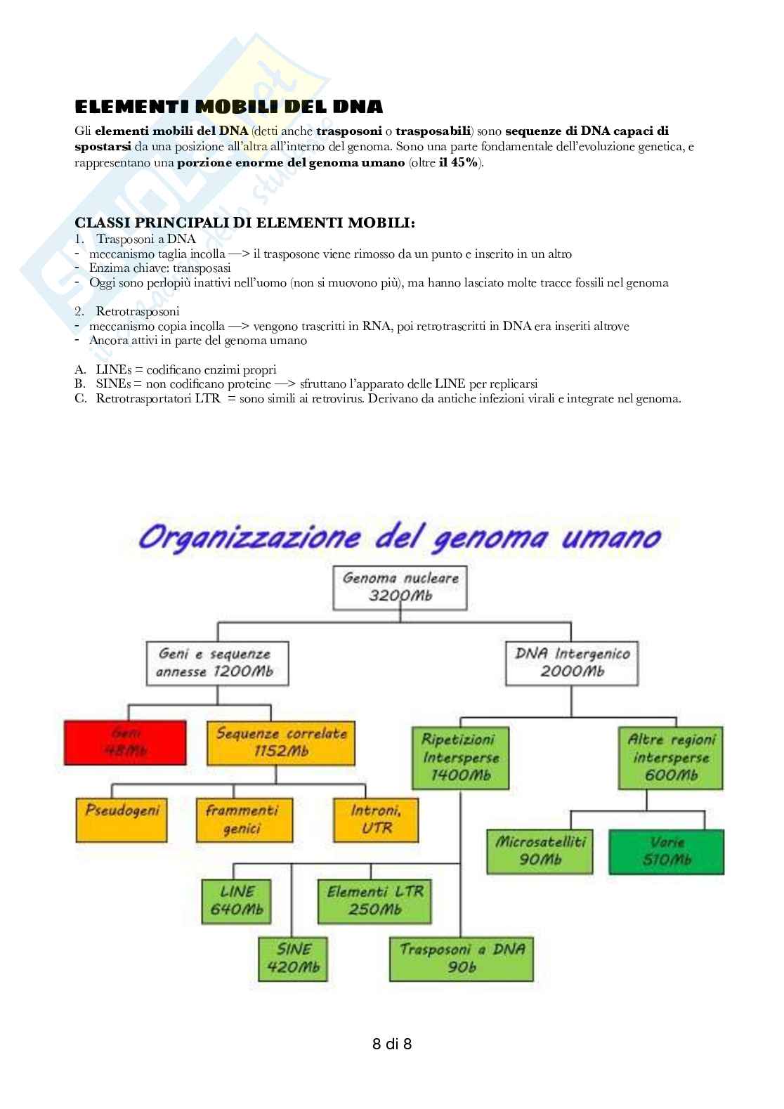 Semestre filtro: Biologia  Pag. 26