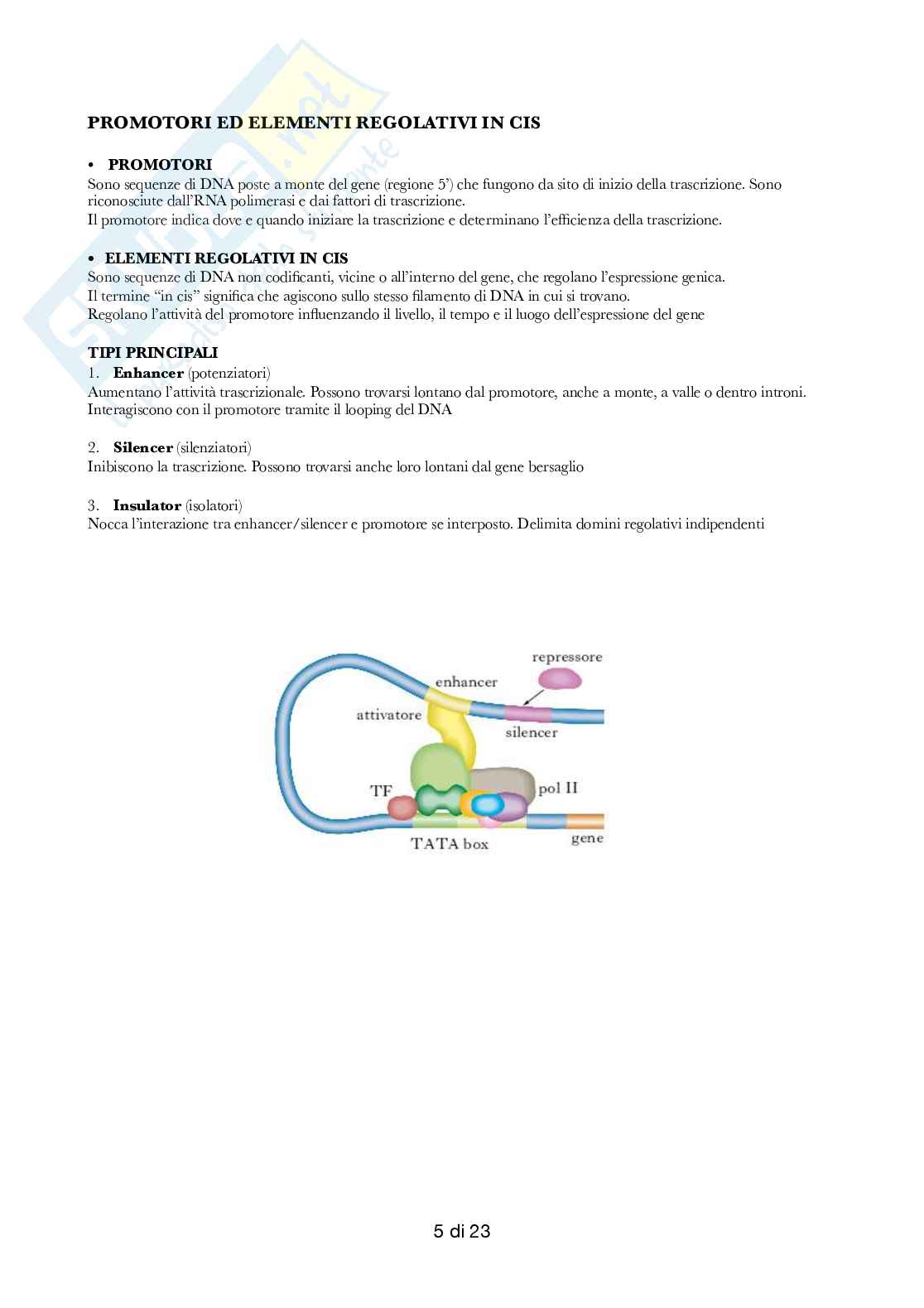 Semestre filtro: Biologia  Pag. 31