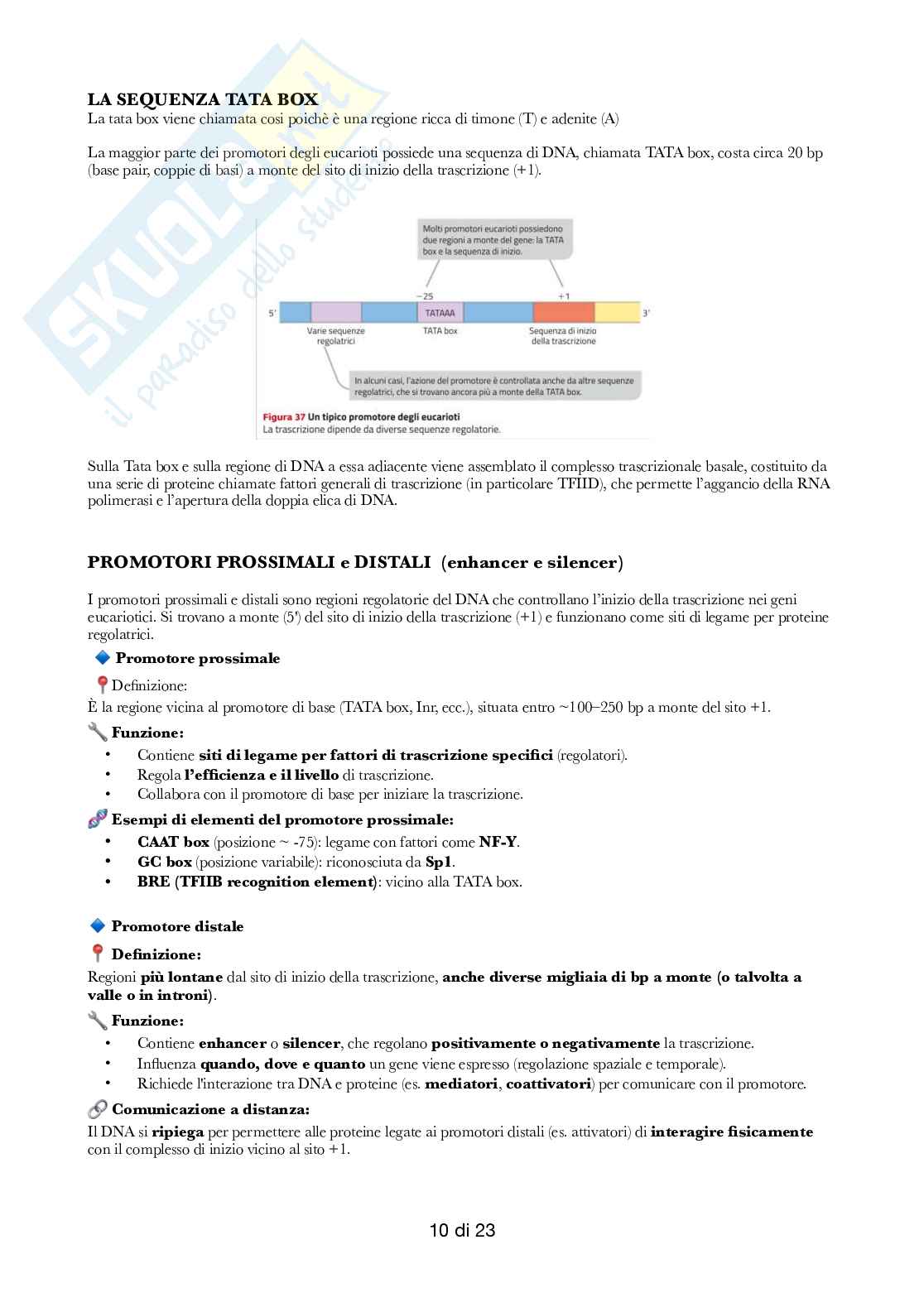 Semestre filtro: Biologia  Pag. 36