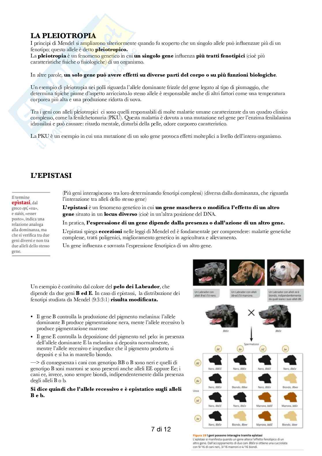 Semestre filtro: Biologia  Pag. 56