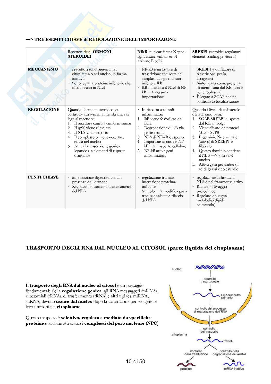 Semestre filtro: Biologia  Pag. 71