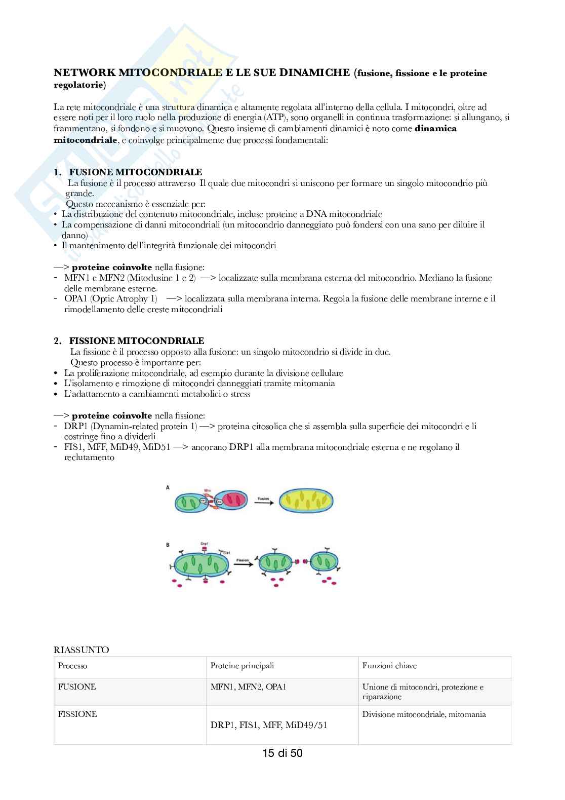 Semestre filtro: Biologia  Pag. 76