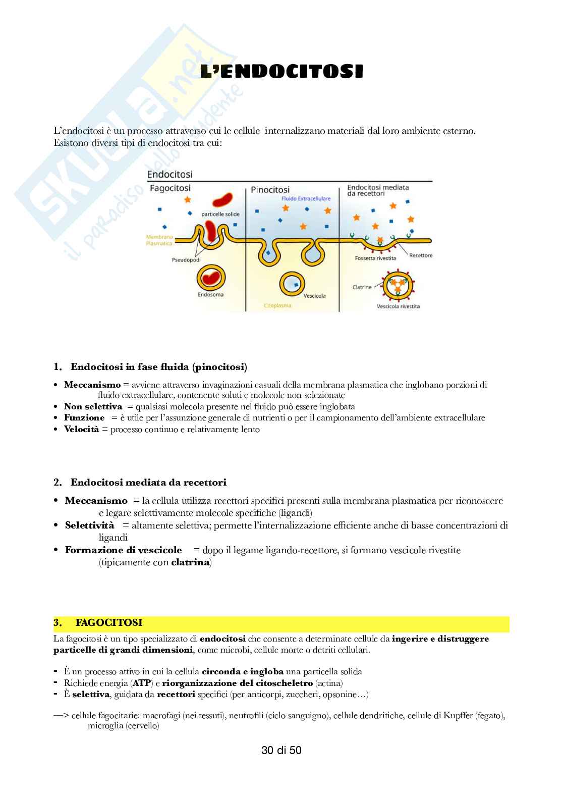 Semestre filtro: Biologia  Pag. 91