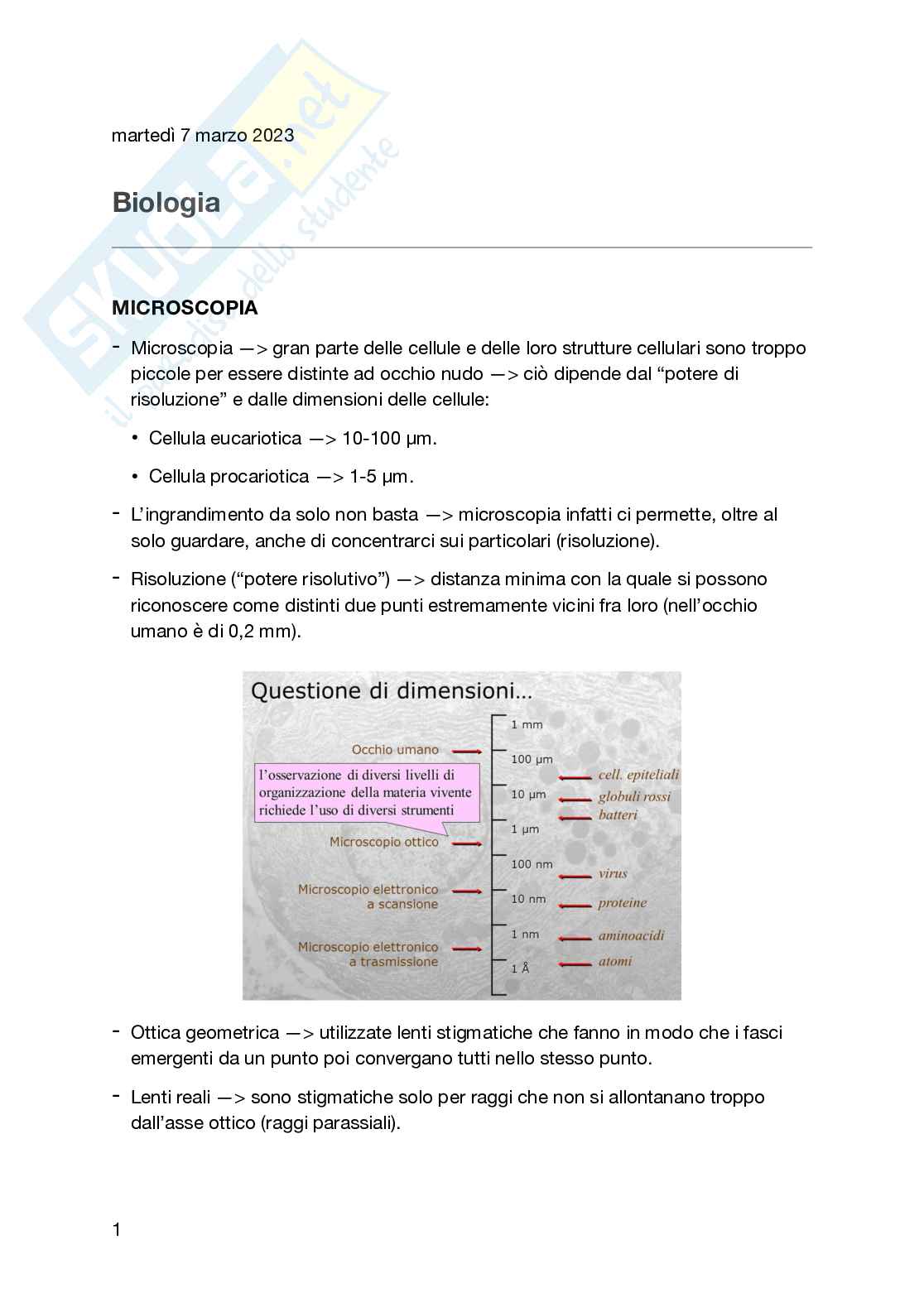 Appunti secondo semestre Biologia generale e cellulare Pag. 1