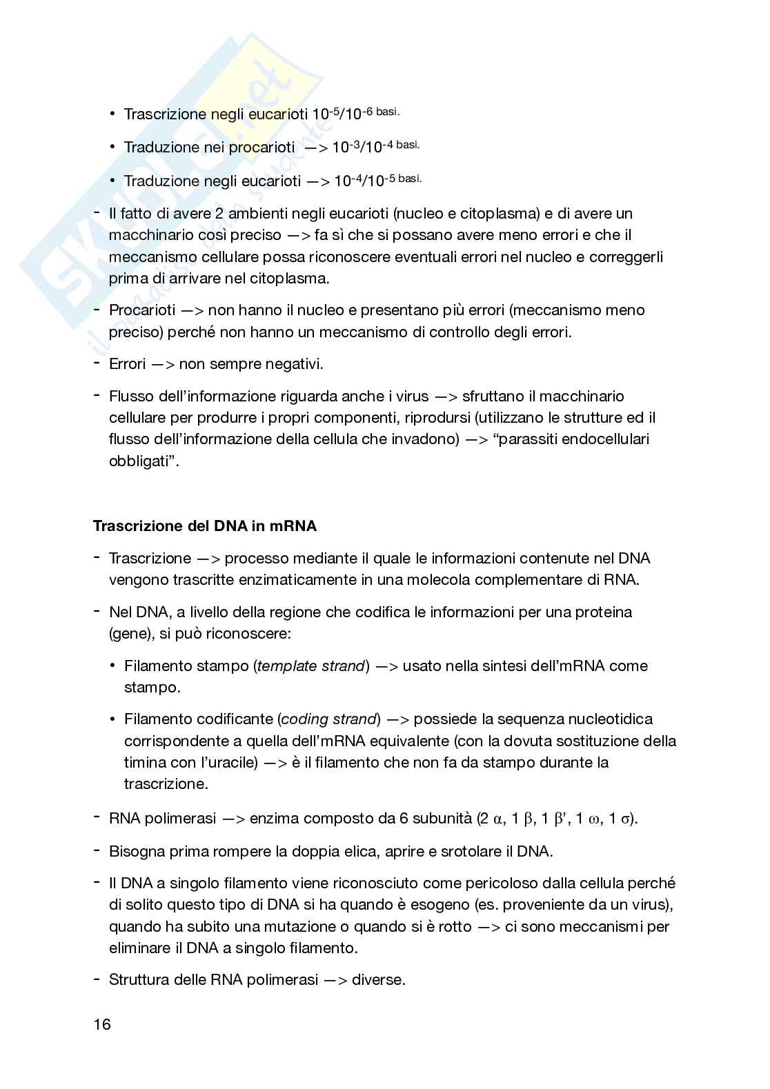 Appunti secondo semestre Biologia generale e cellulare Pag. 16