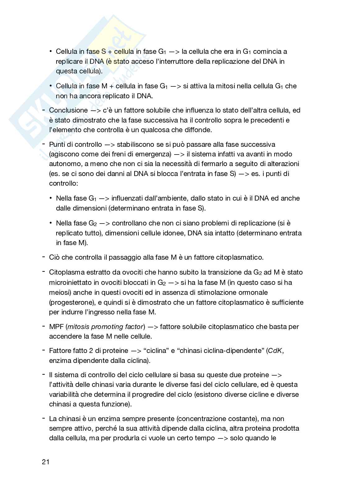 Appunti secondo semestre Biologia generale e cellulare Pag. 21