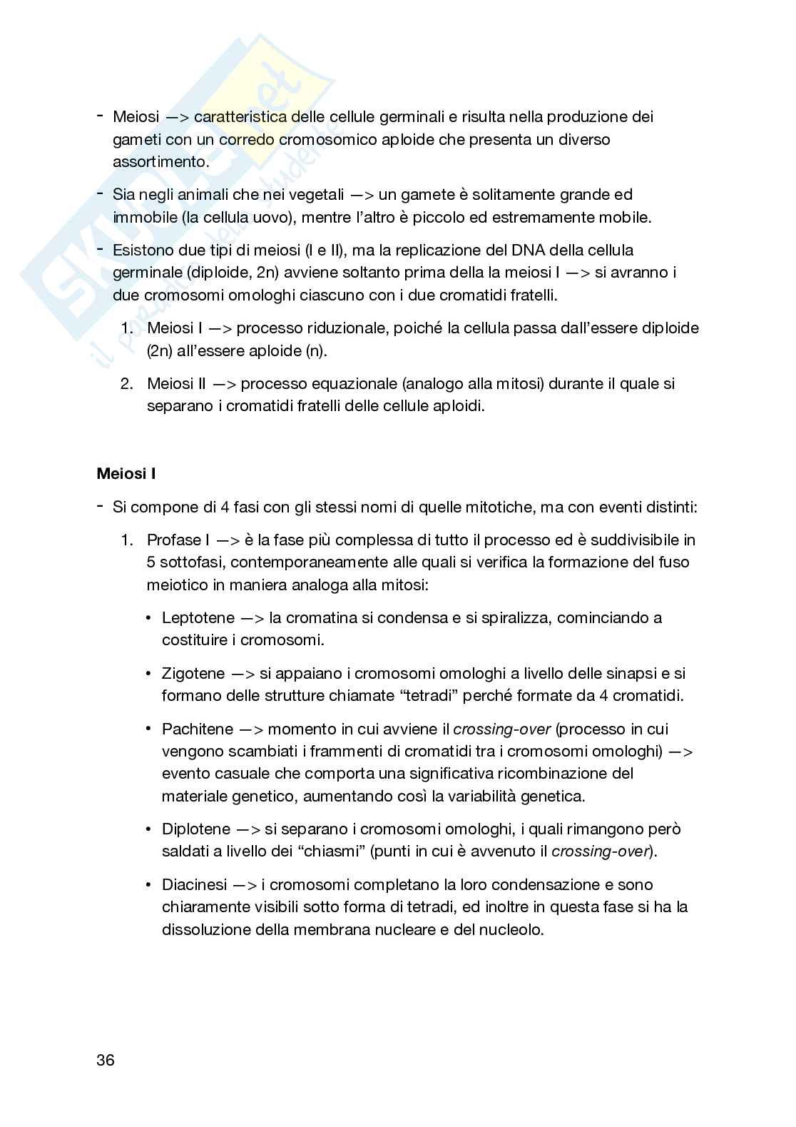 Appunti secondo semestre Biologia generale e cellulare Pag. 36