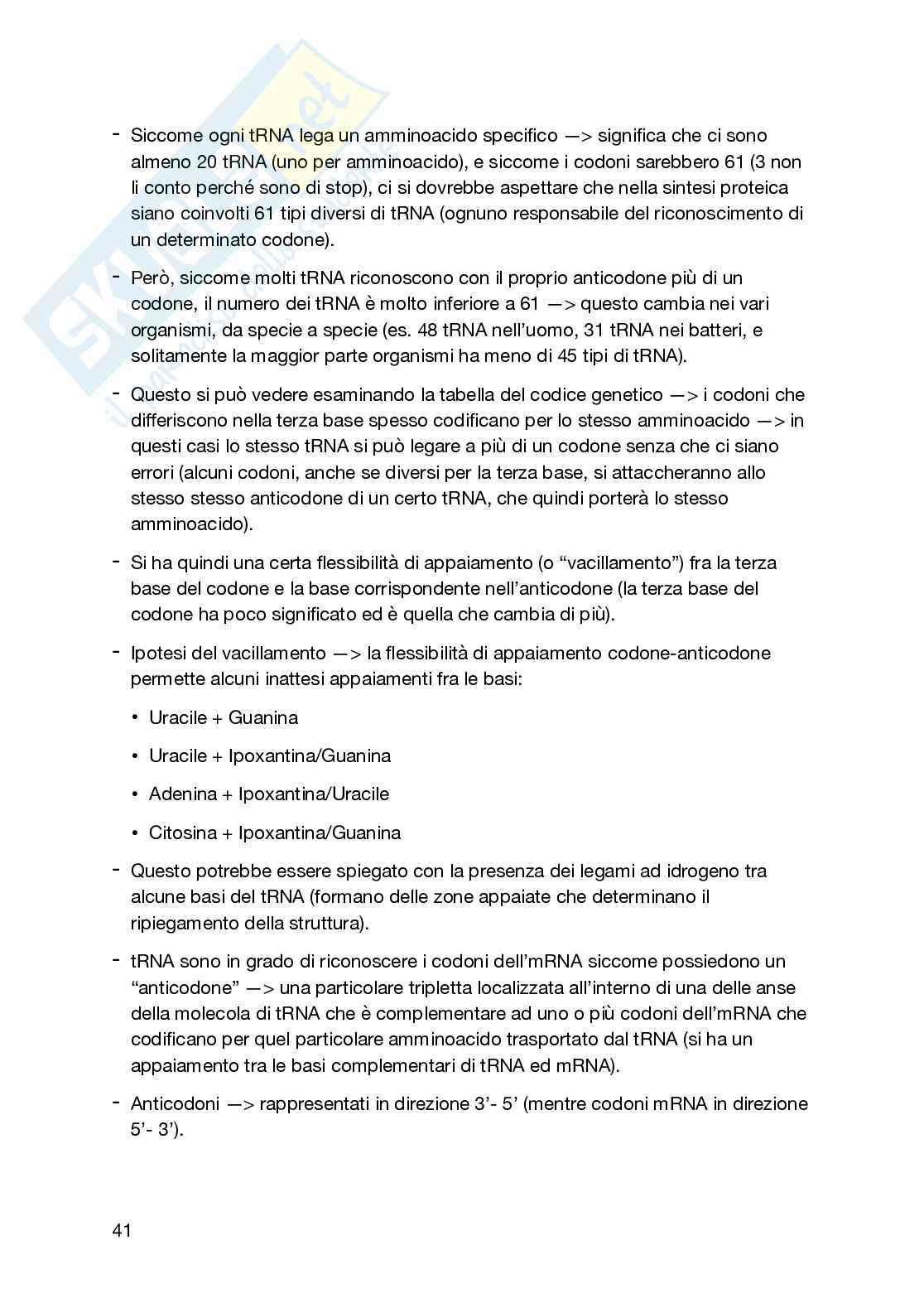 Appunti secondo semestre Biologia generale e cellulare Pag. 41