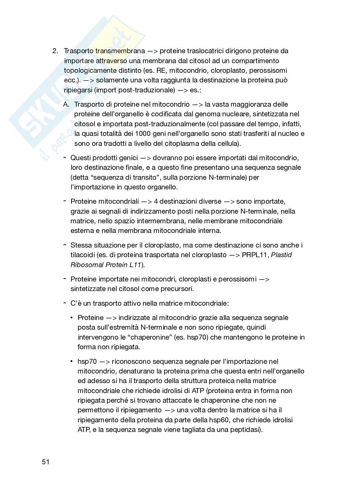 Appunti secondo semestre Biologia generale e cellulare Pag. 51