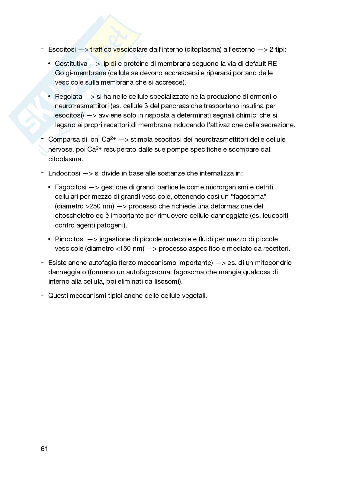 Appunti secondo semestre Biologia generale e cellulare Pag. 61