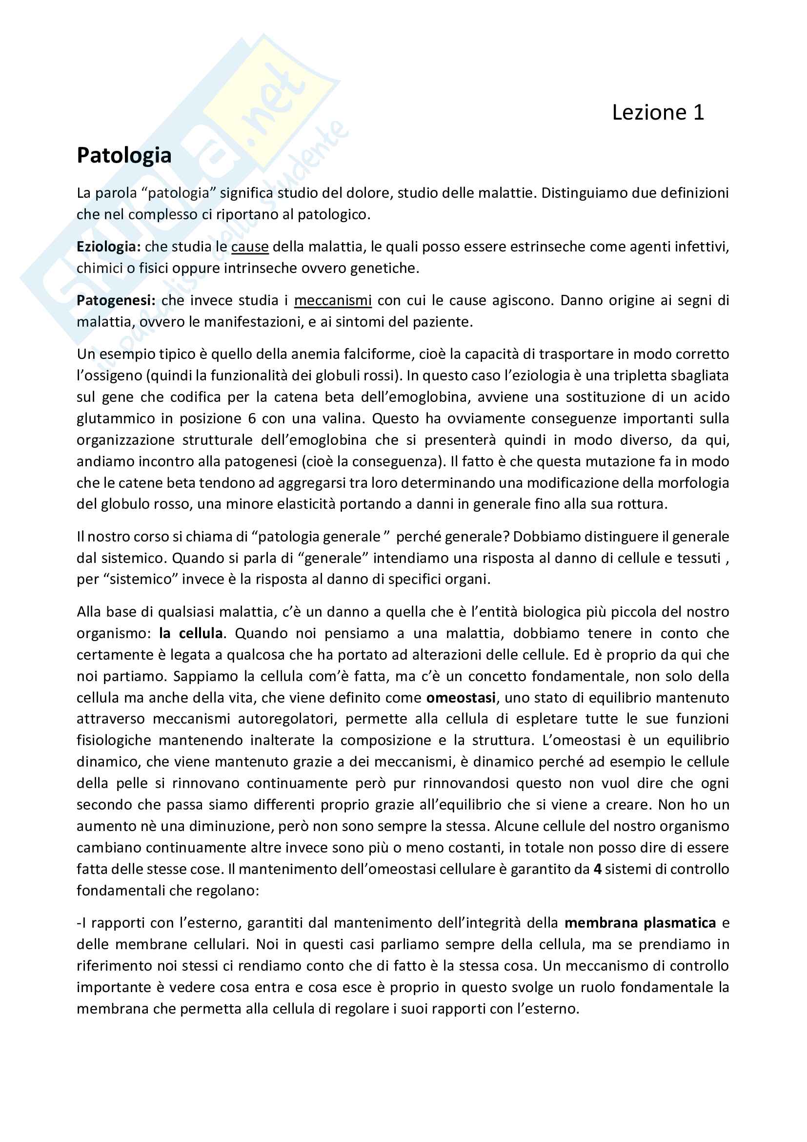 file appunti patologia Pag. 1