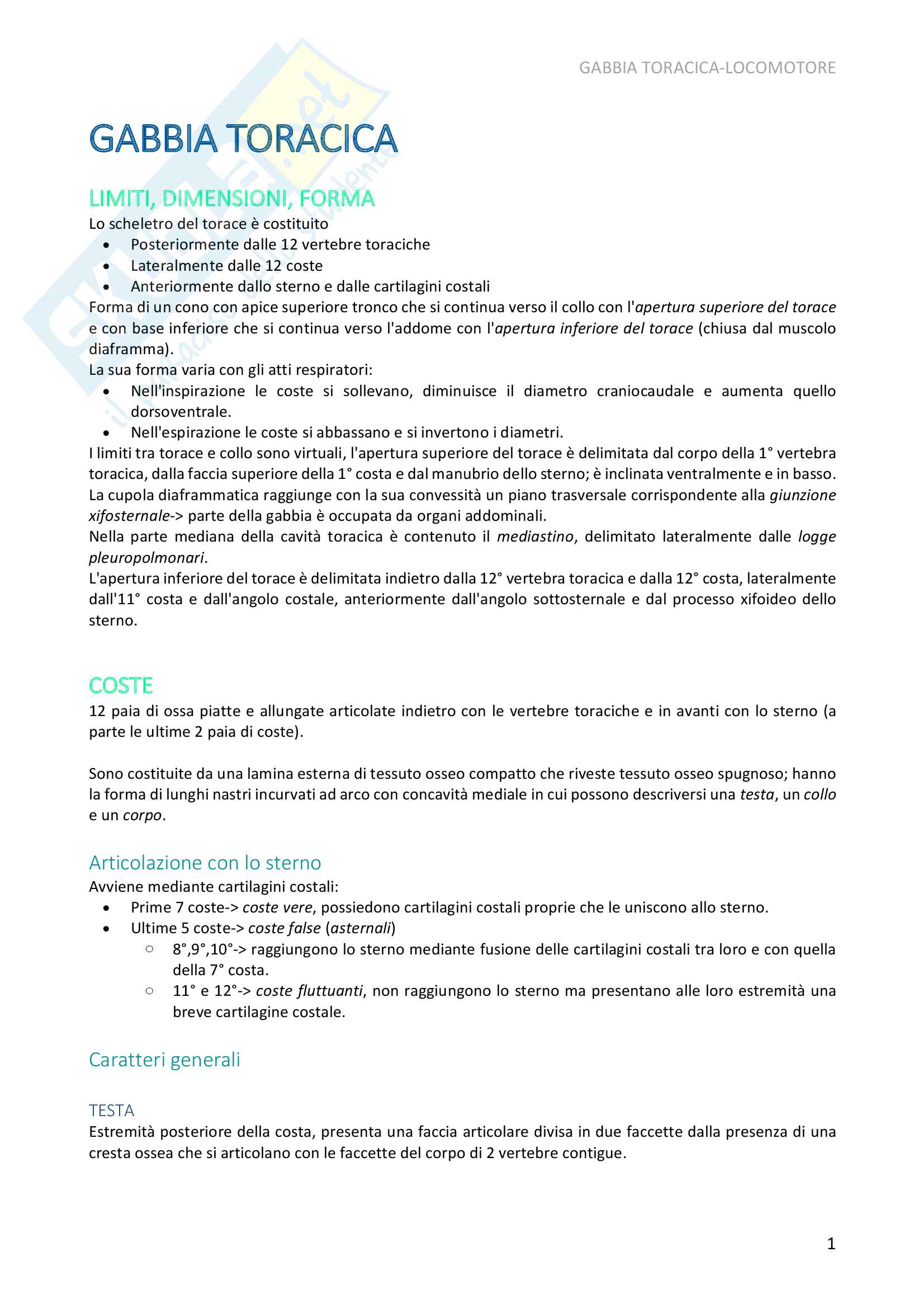 Gabbia toracica, Anatomia Umana Pag. 1