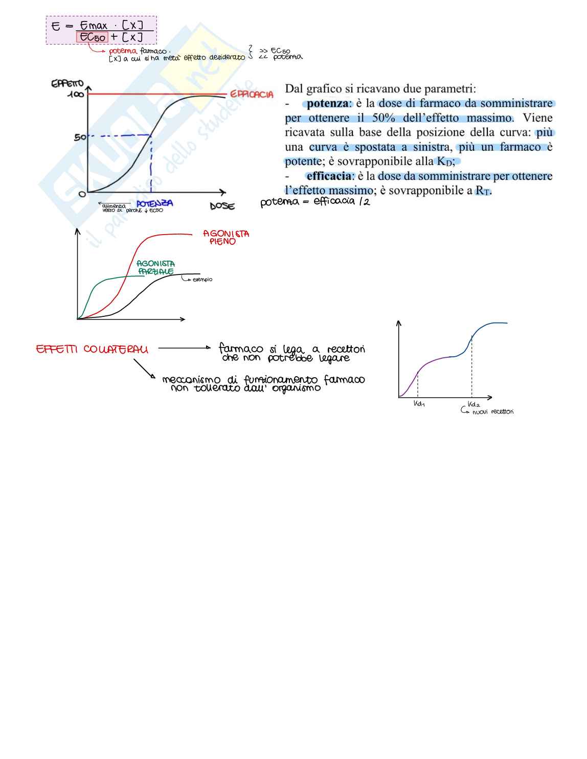 Appunti di Farmacologia generale - parte 1 di 2 Pag. 11