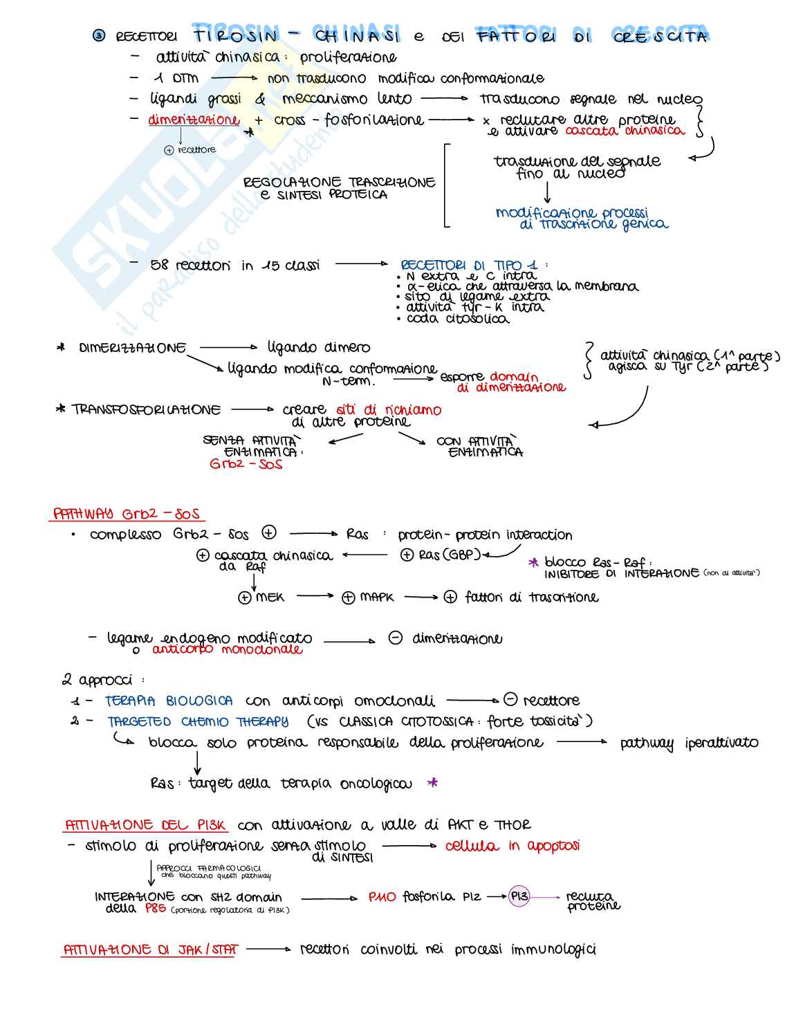 Appunti di Farmacologia generale - parte 1 di 2 Pag. 16