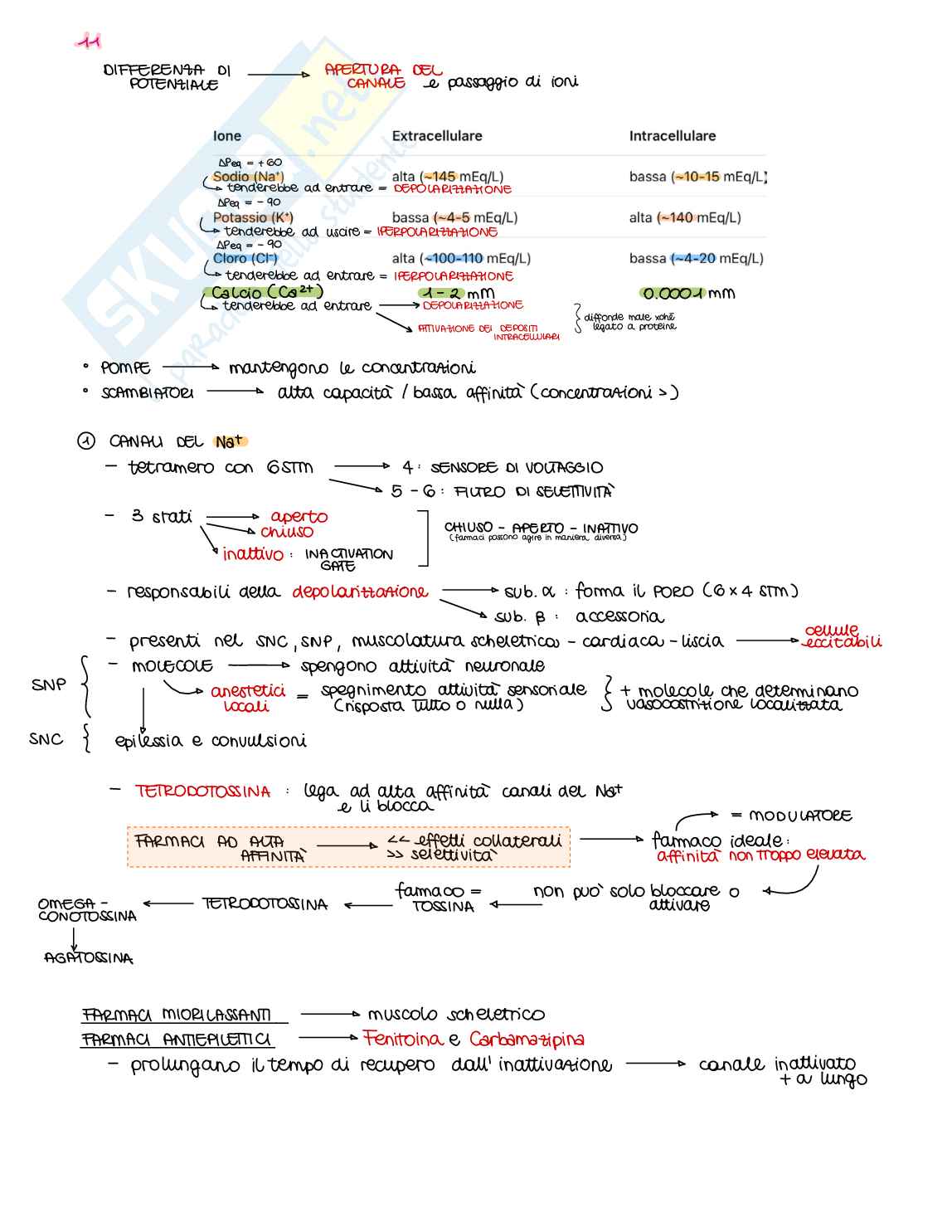 Appunti di Farmacologia generale - parte 1 di 2 Pag. 21