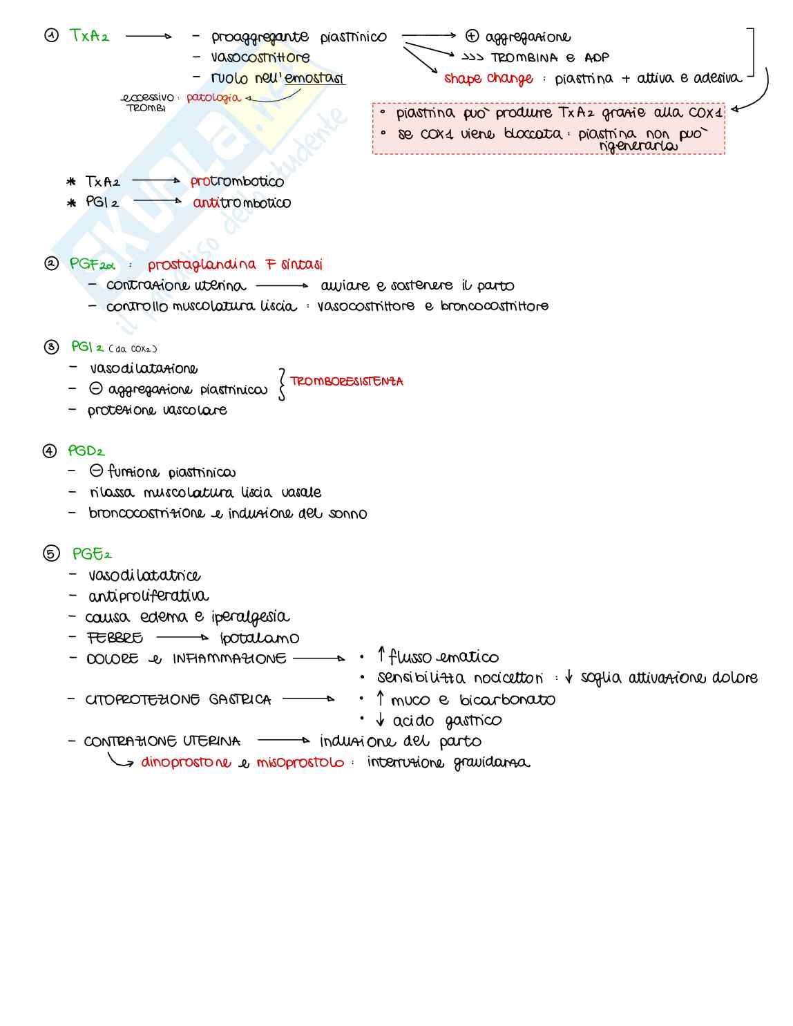 Appunti di Farmacologia generale - parte 1 di 2 Pag. 26