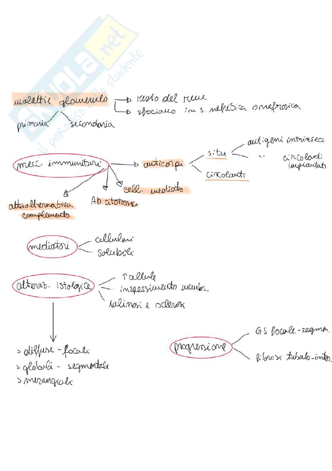 Anatomia patologica Pag. 1