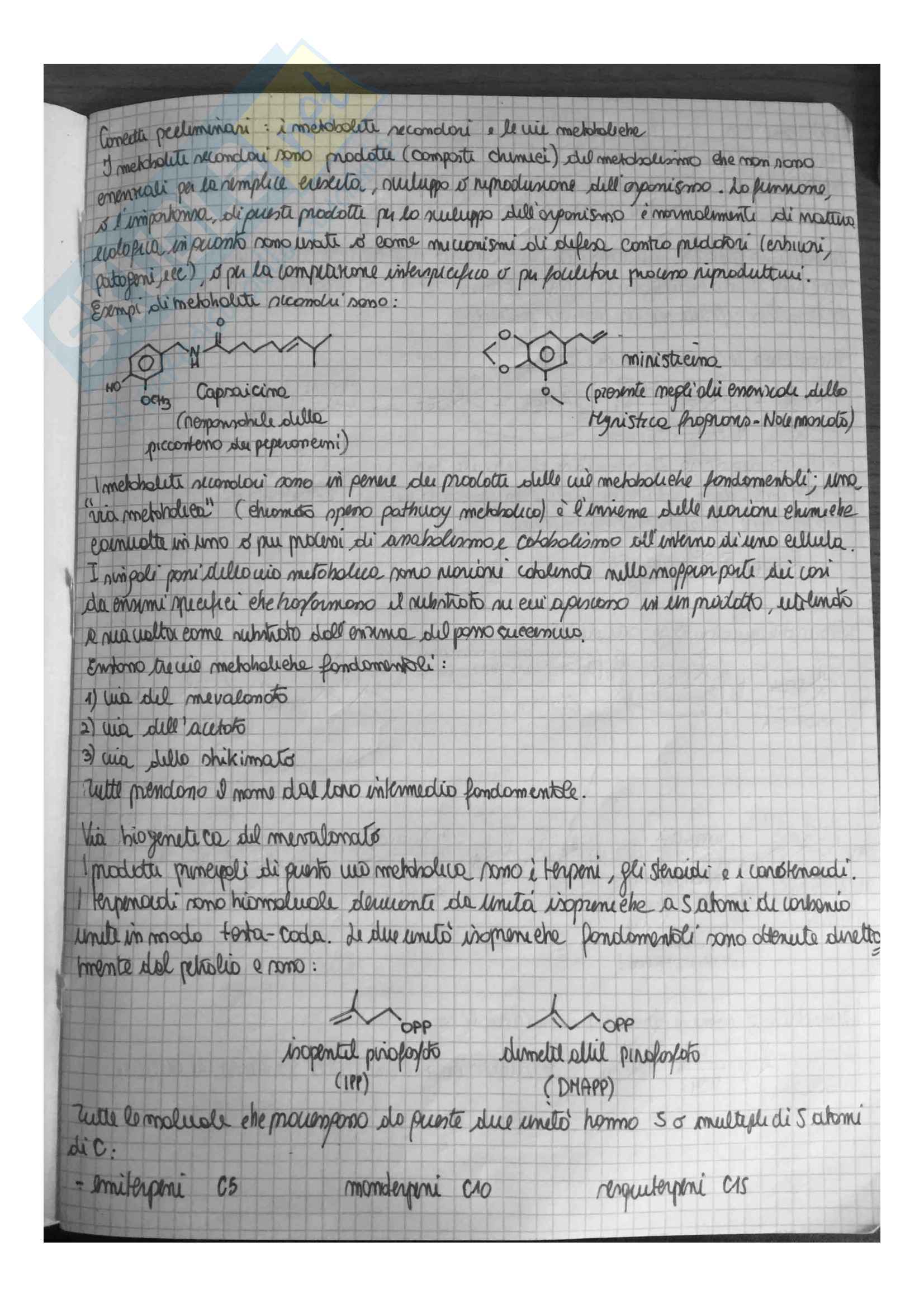 Appunti di Chimica Organica 3 (Chimica delle sostanze naturali) Pag. 2