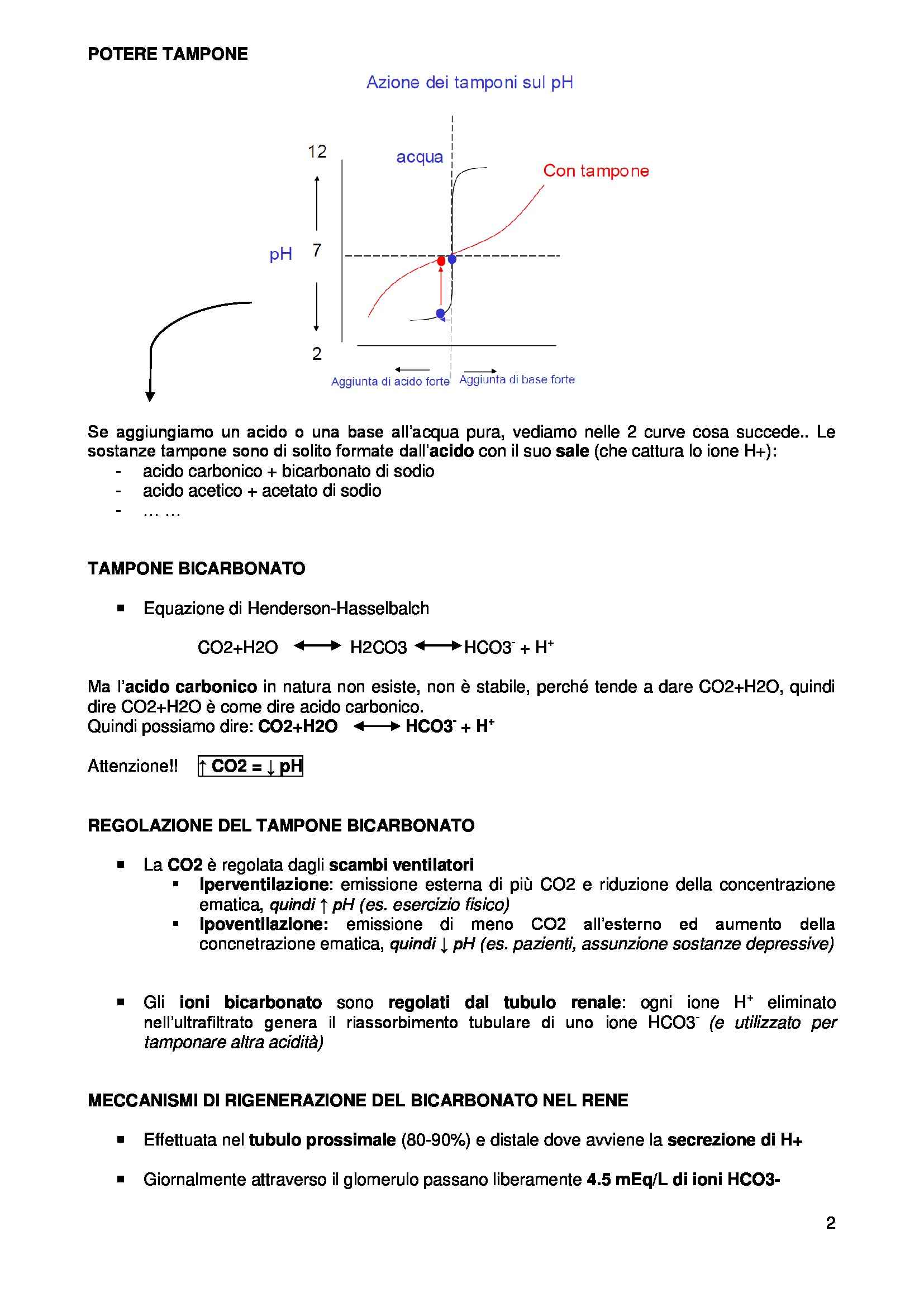 Endocrinolgia - equilibrio acido-base Pag. 2