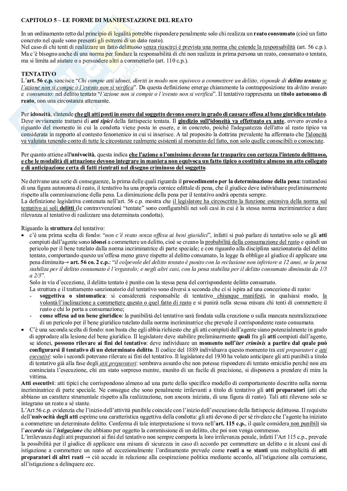 Appunti aggiornati al 2026 di Diritto penale, parte generale Pag. 31
