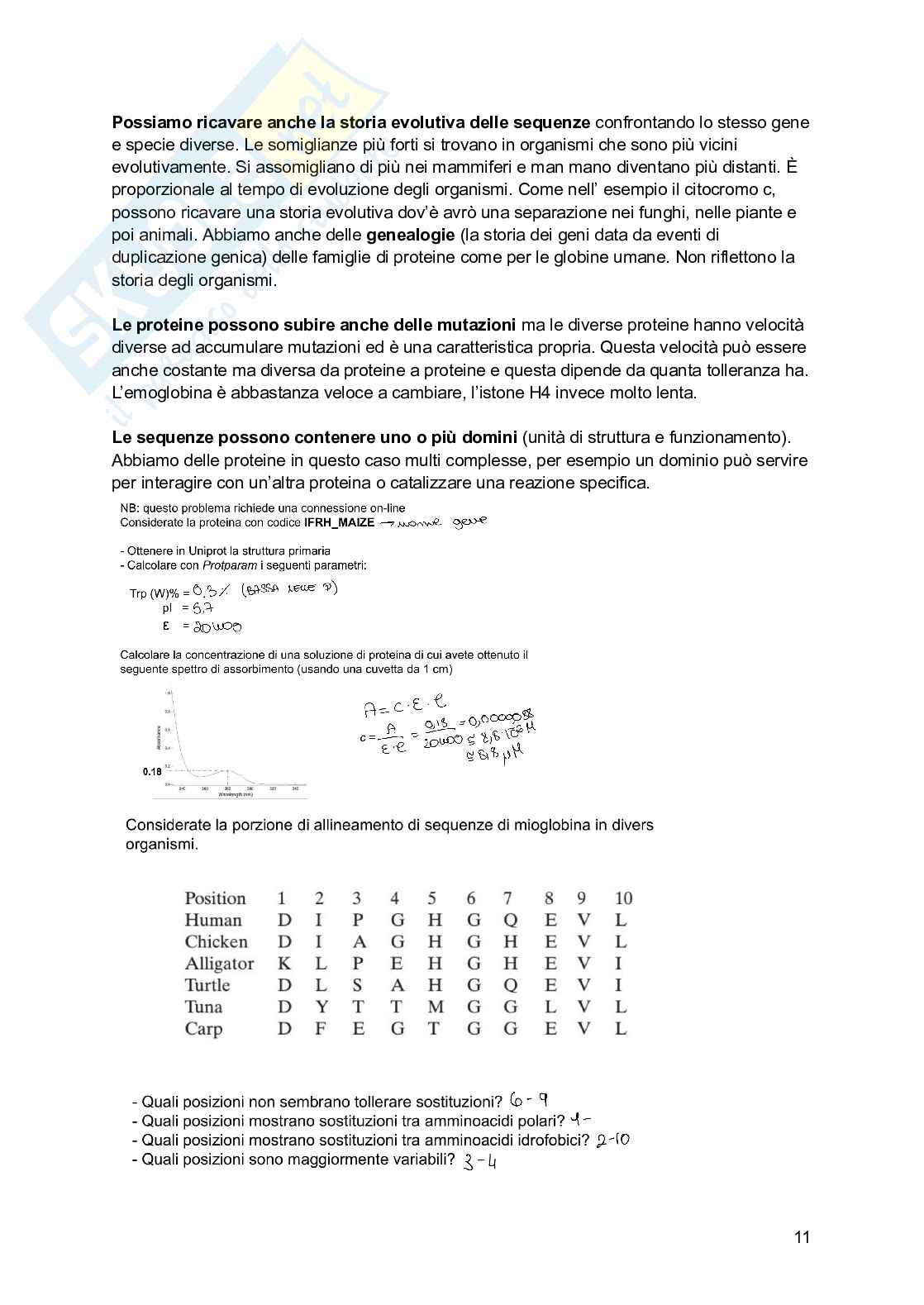 Basi chimiche della vita Pag. 11