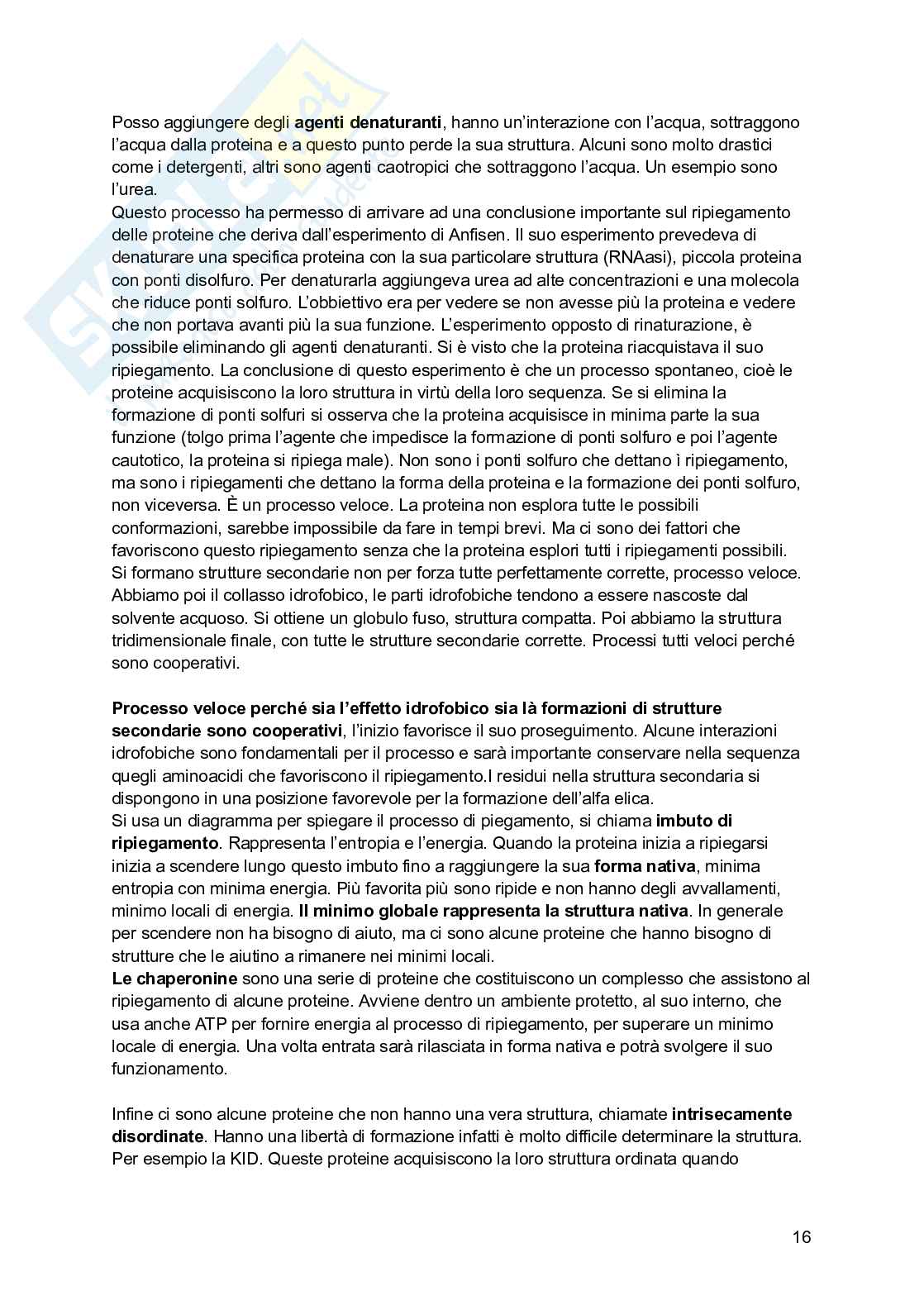 Basi chimiche della vita Pag. 16