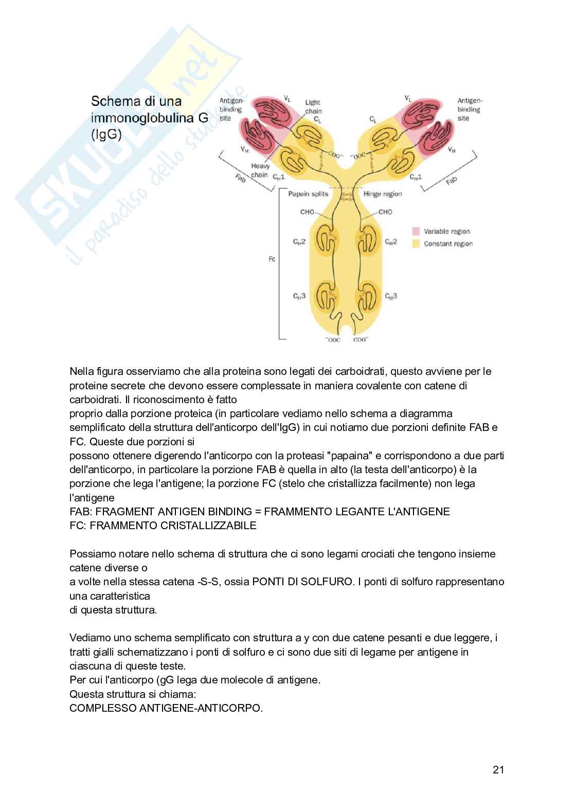 Basi chimiche della vita Pag. 21