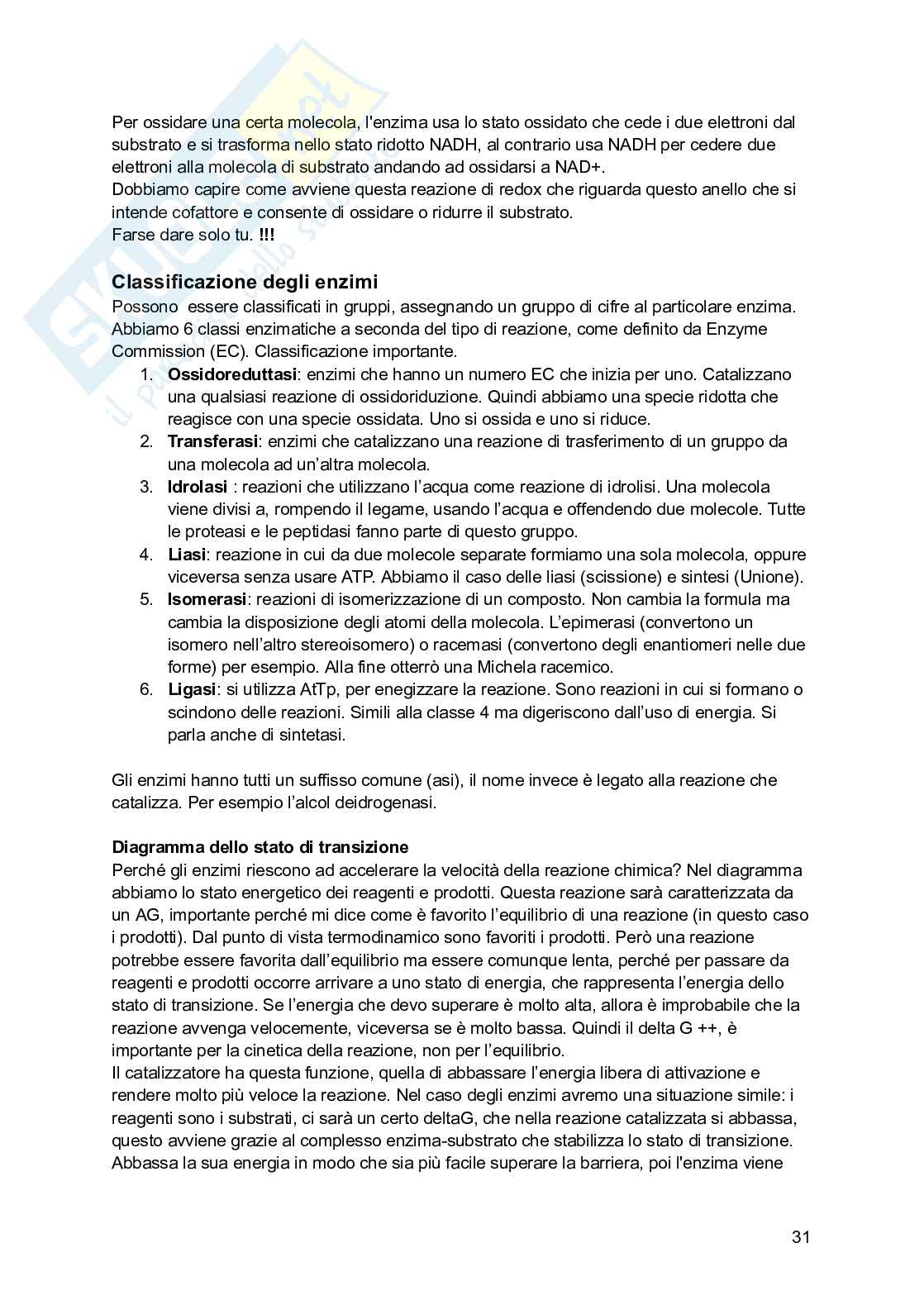 Basi chimiche della vita Pag. 31