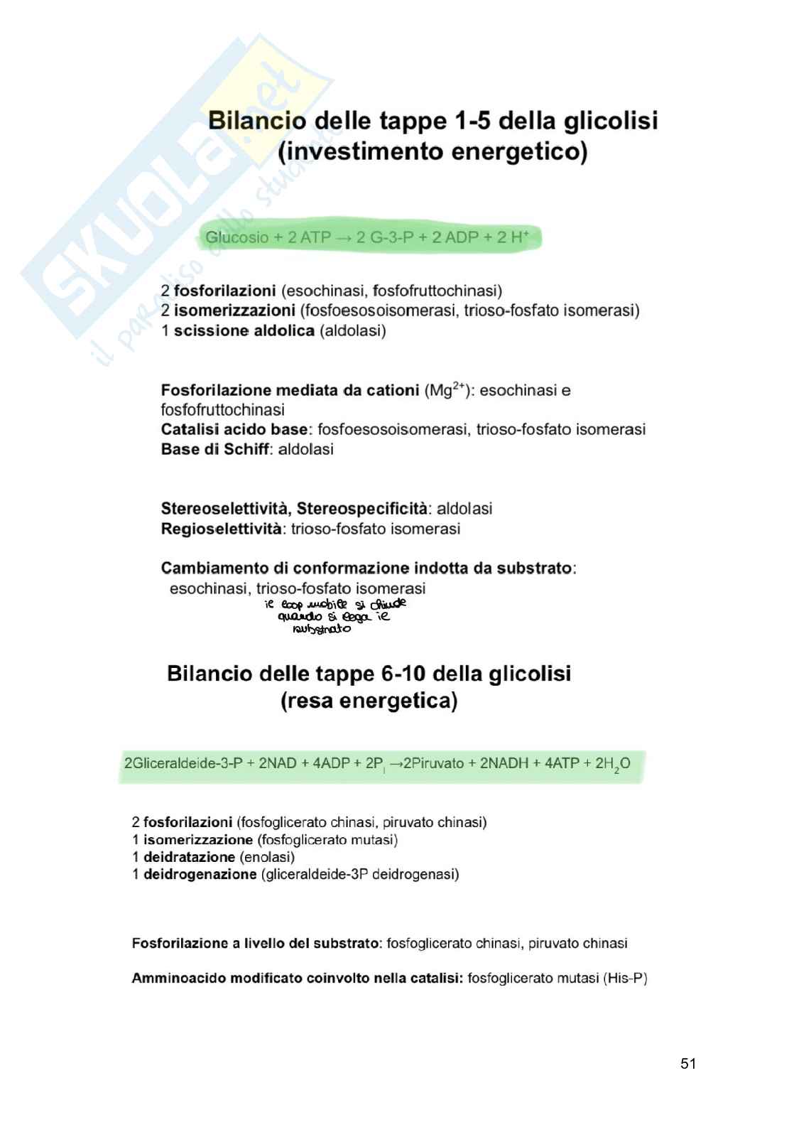 Basi chimiche della vita Pag. 51