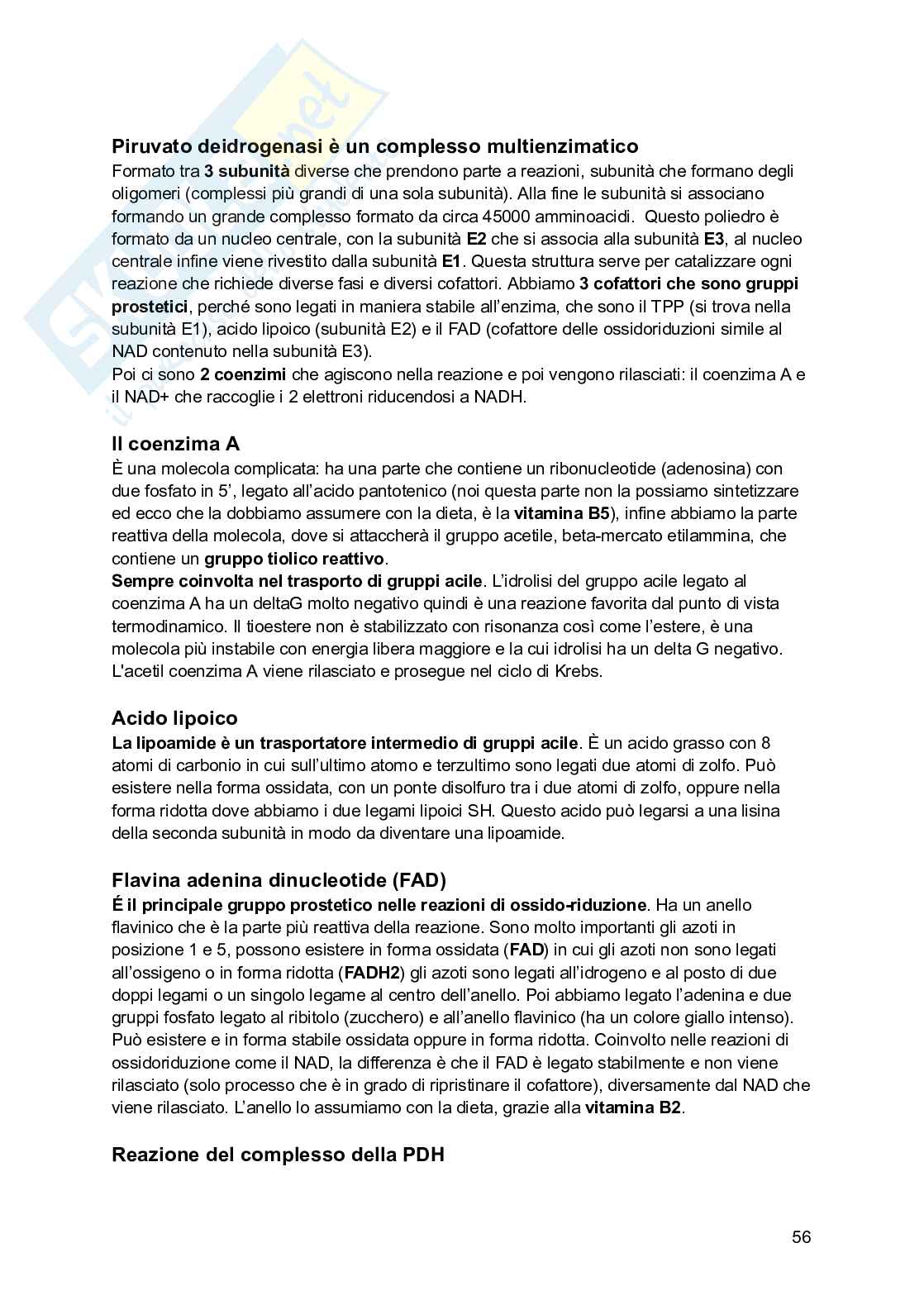 Basi chimiche della vita Pag. 56